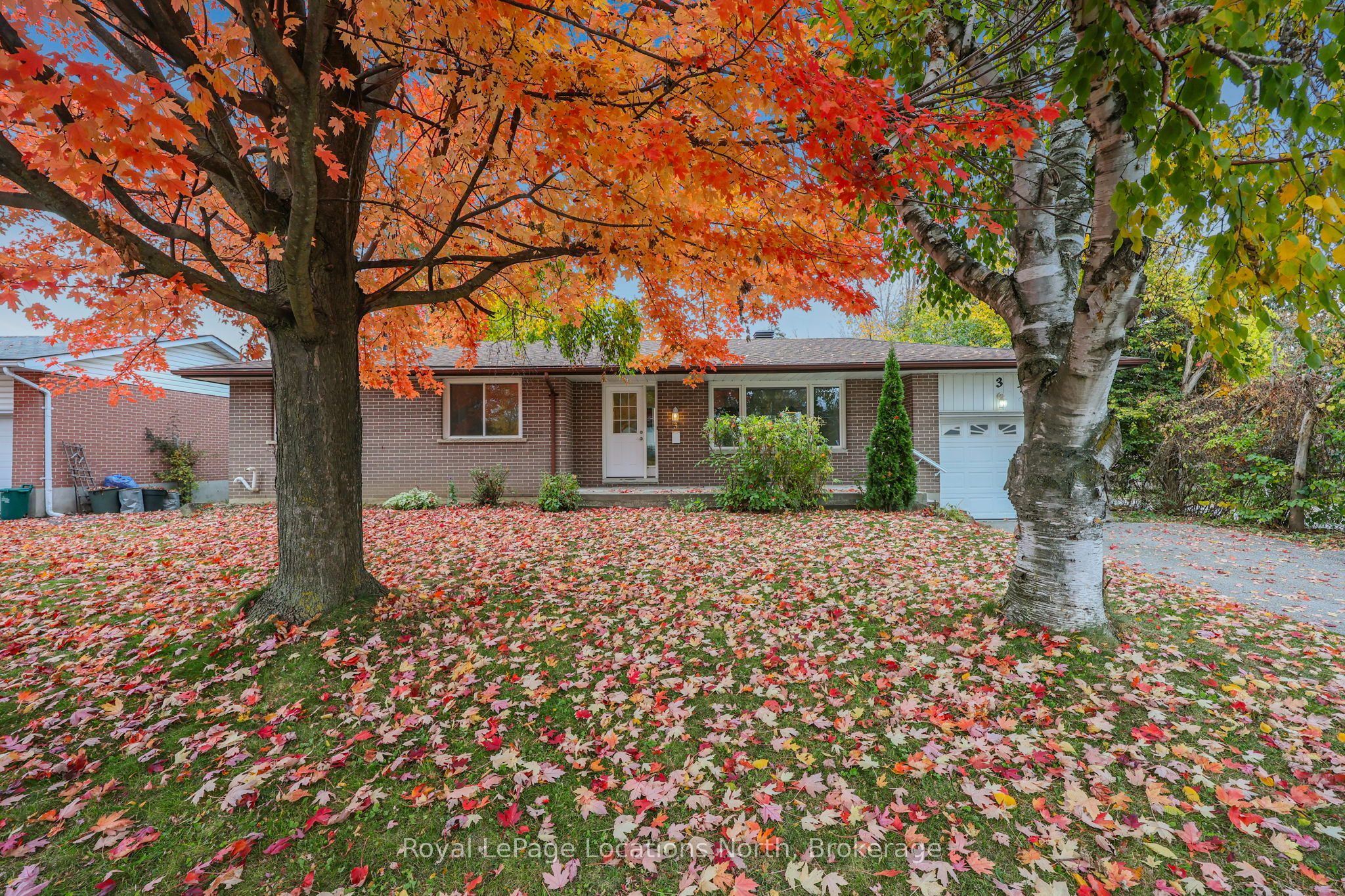 3 Harding Avenue