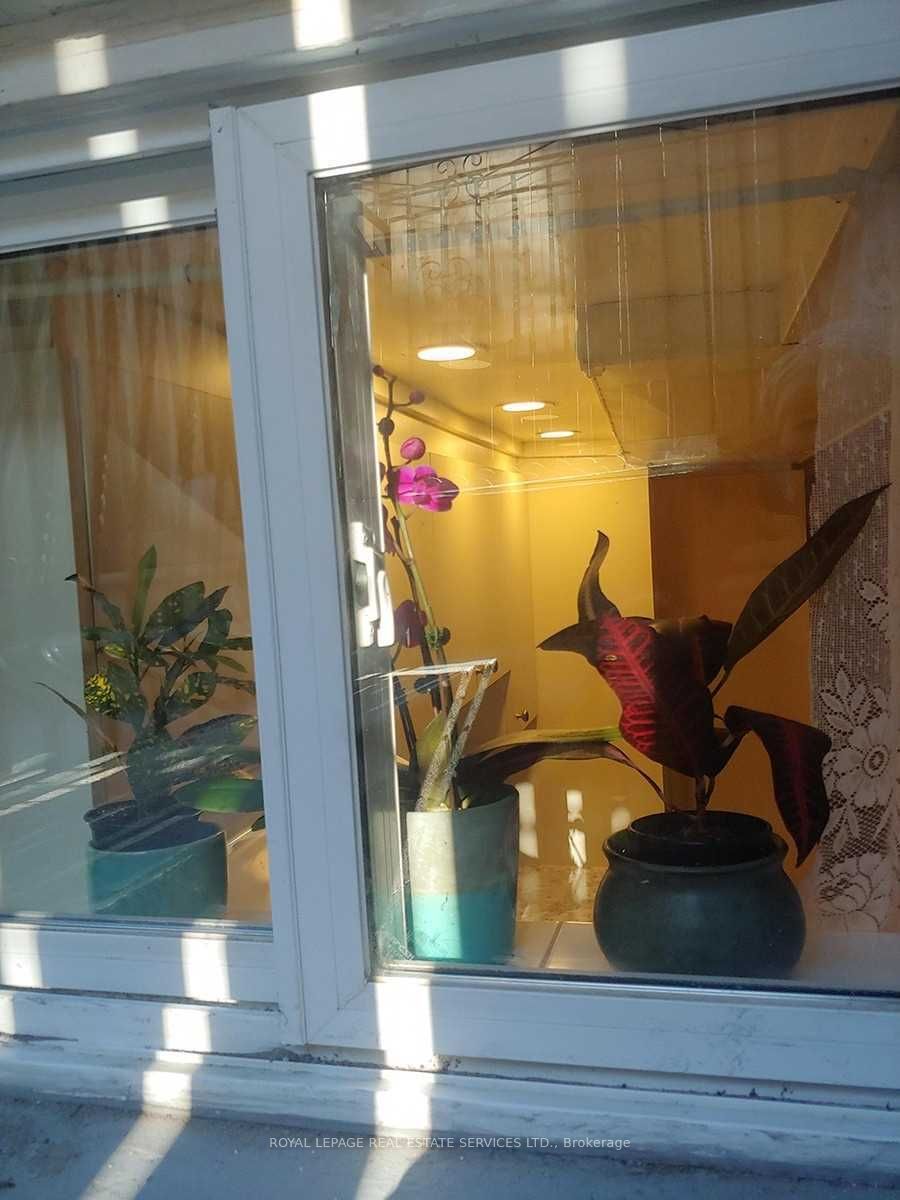 1239 College Street Lower Level