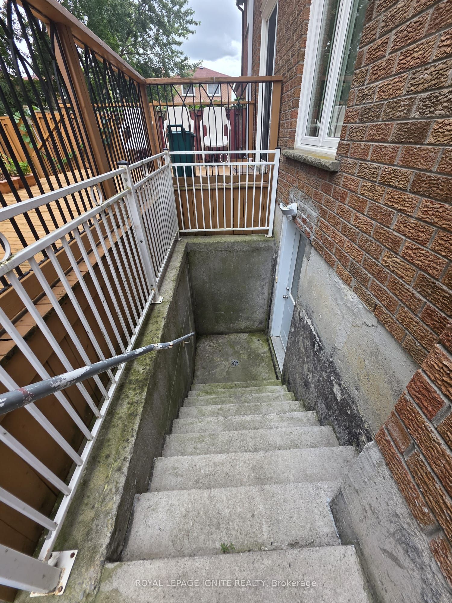 66 Ashmore Crescent Bsmt