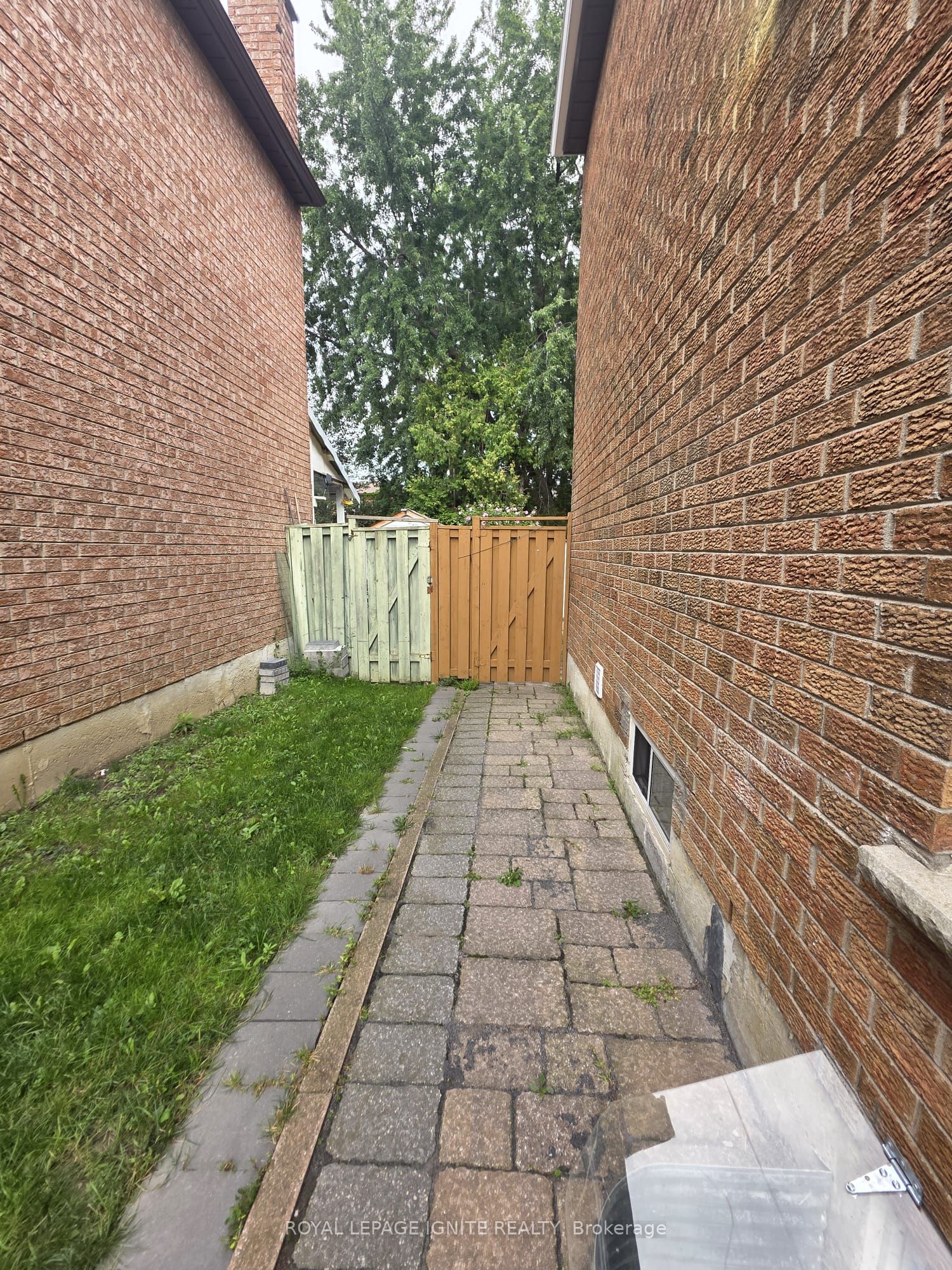 66 Ashmore Crescent Bsmt