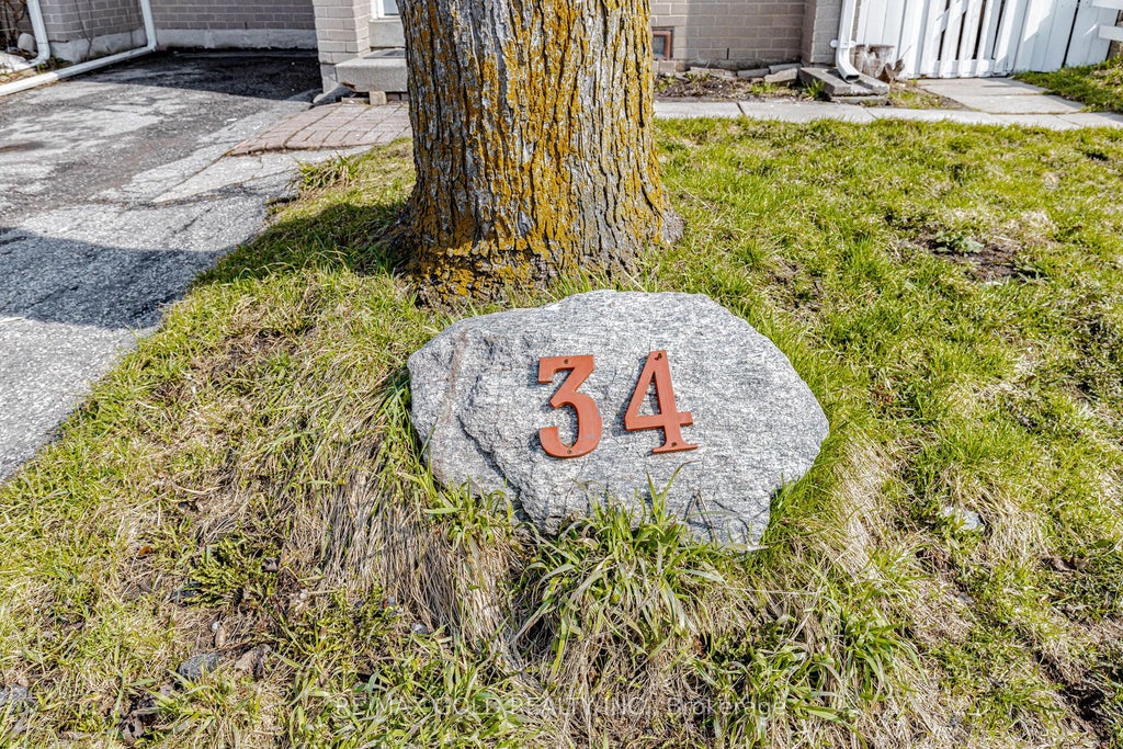 Photo of 34 Jackman Drive, Brampton, ON L6S 2L7 (MLS # W13433034)