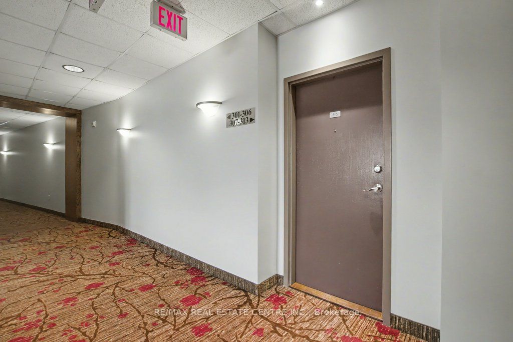 443 Centennial Forest Drive 313