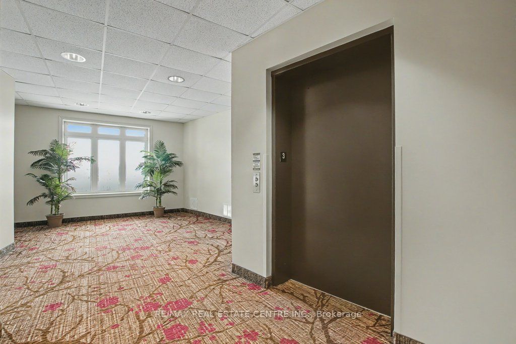 443 Centennial Forest Drive 313