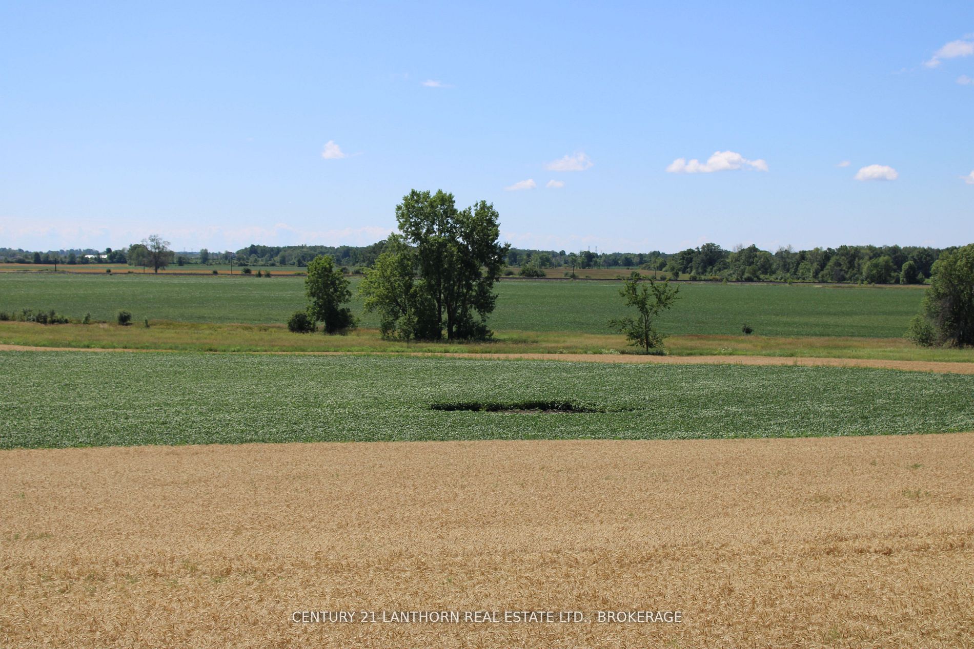 LT15-16 COUNTY ROAD 1 N/A W