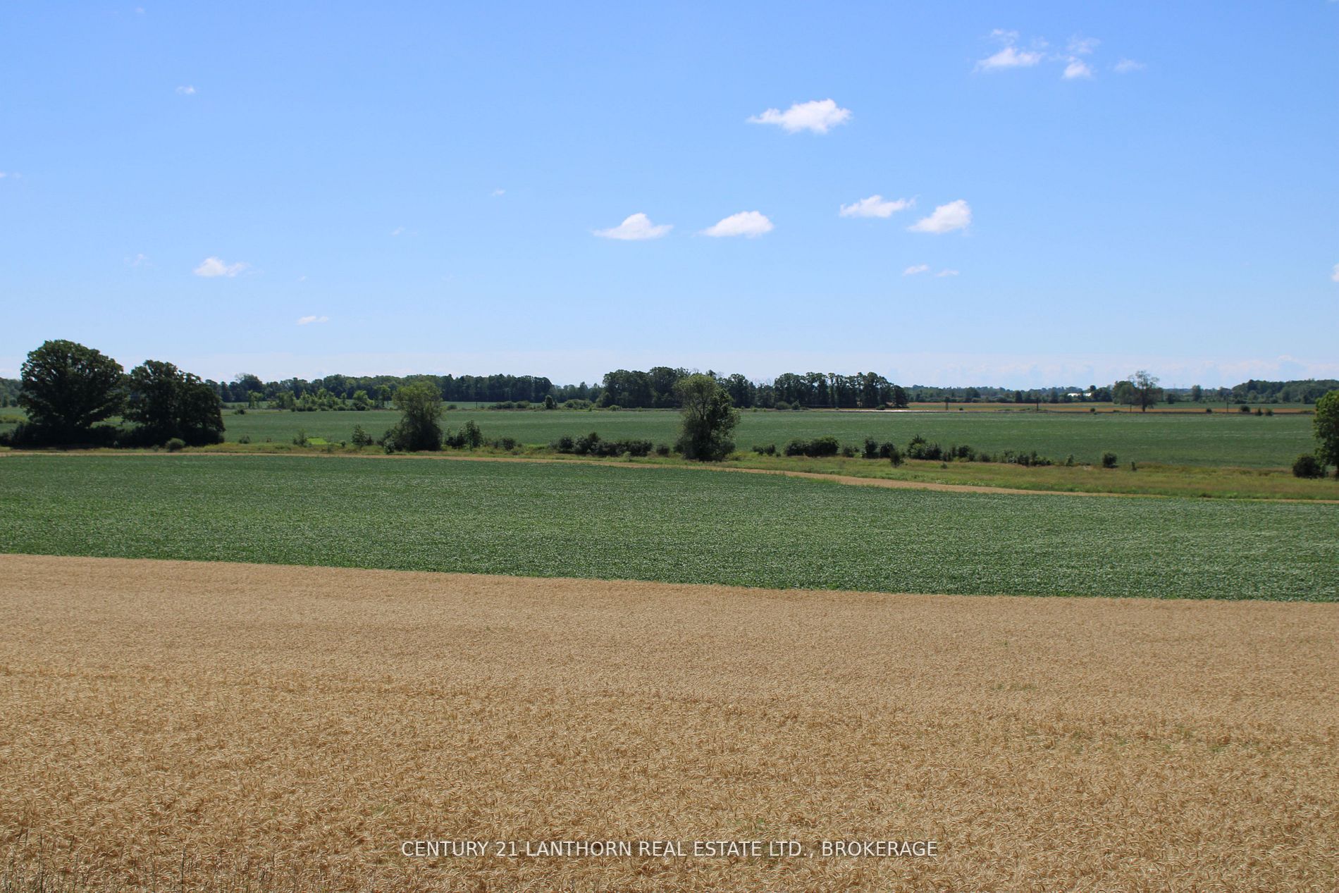 LT15-16 COUNTY ROAD 1 N/A W