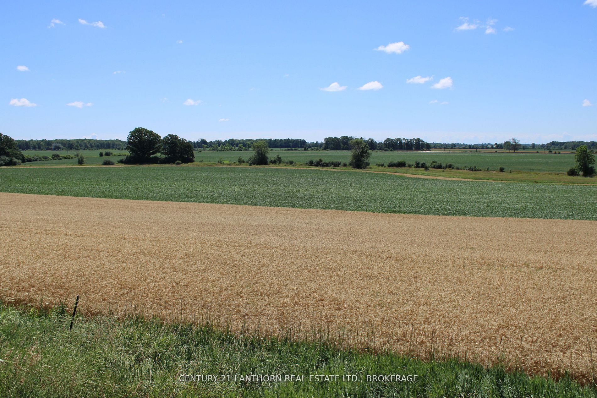 LT15-16 COUNTY ROAD 1 N/A W