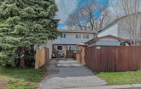 20 Horseshoe Court Brampton ON L6S 1S1
