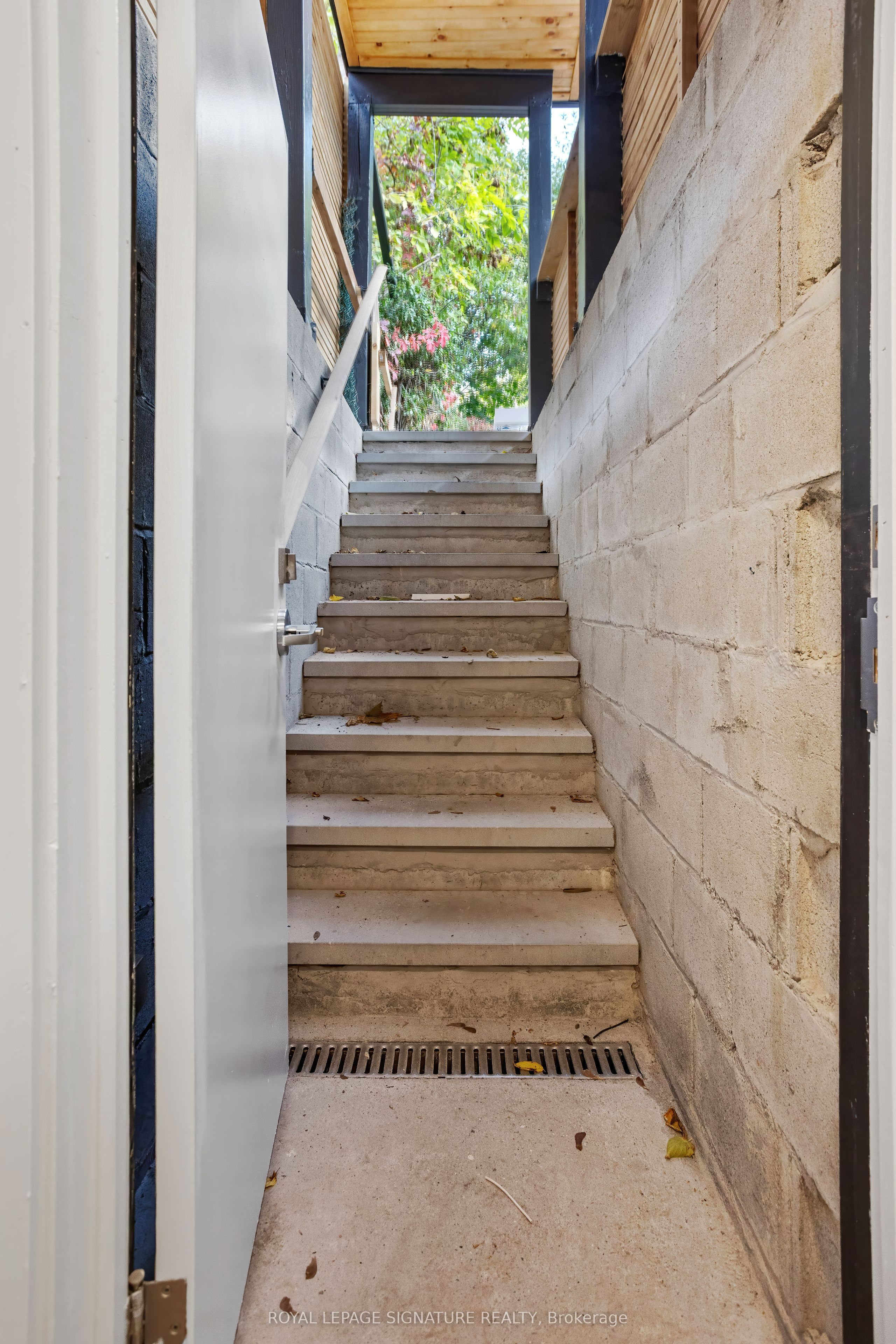 231 Havelock Street Lower