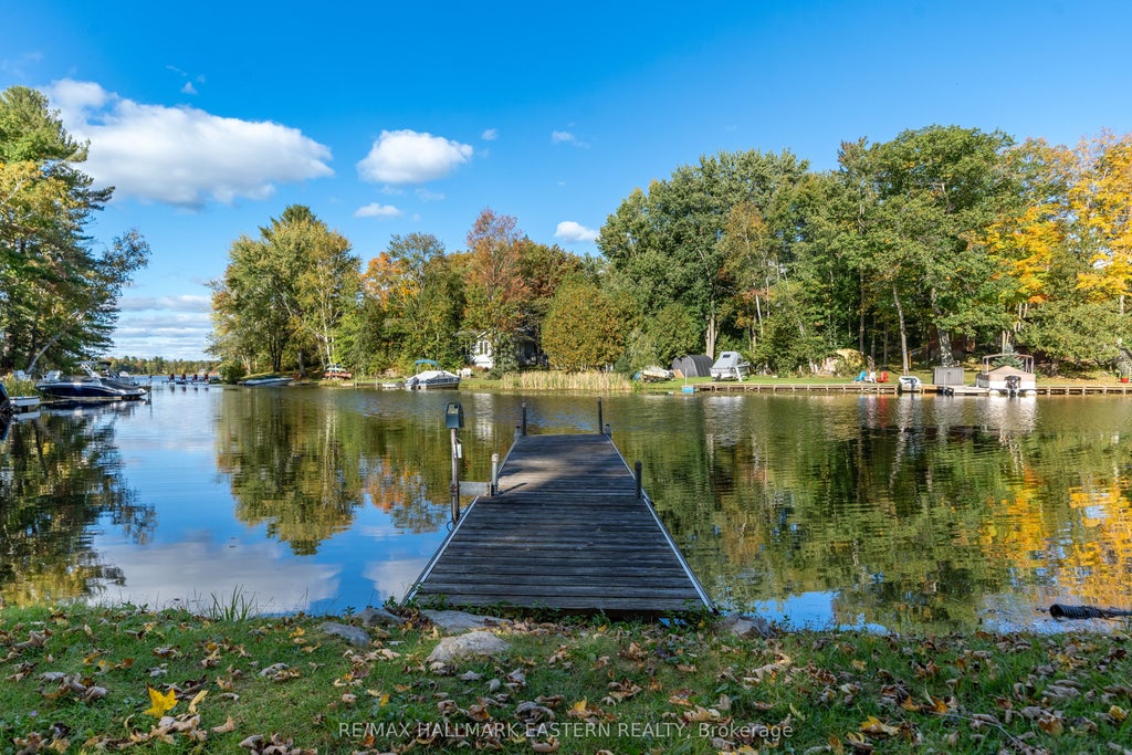 Photo of 2335 Lakeside Road, Douro-Dummer, ON K0L 2H0 (MLS # X13757454)