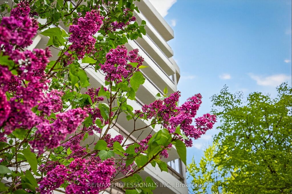 Photo of 80 Quebec Avenue #122, Toronto, ON M6P 4B7 (MLS # W13177414)