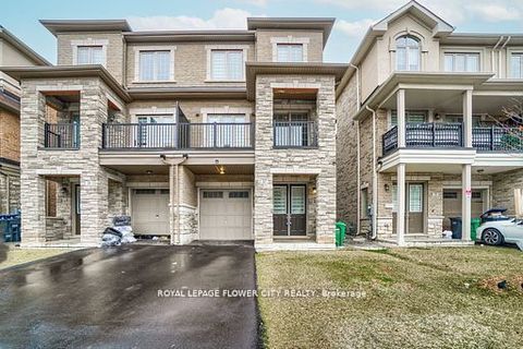 37 Hashmi Place BSMT Brampton ON L6Y 6K1