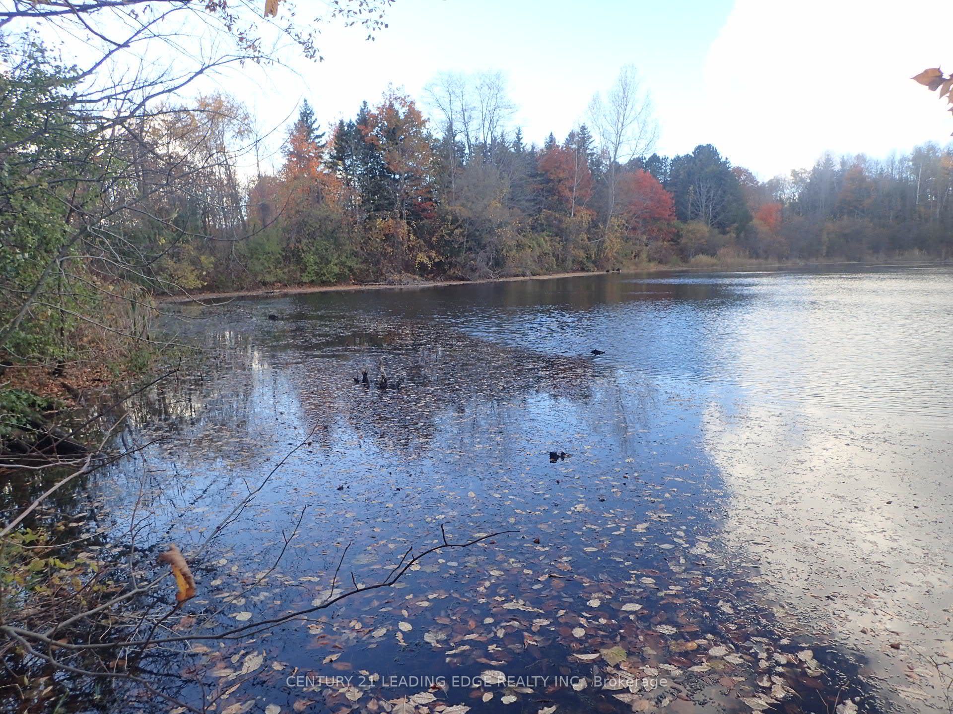 3536 Bloomington Road