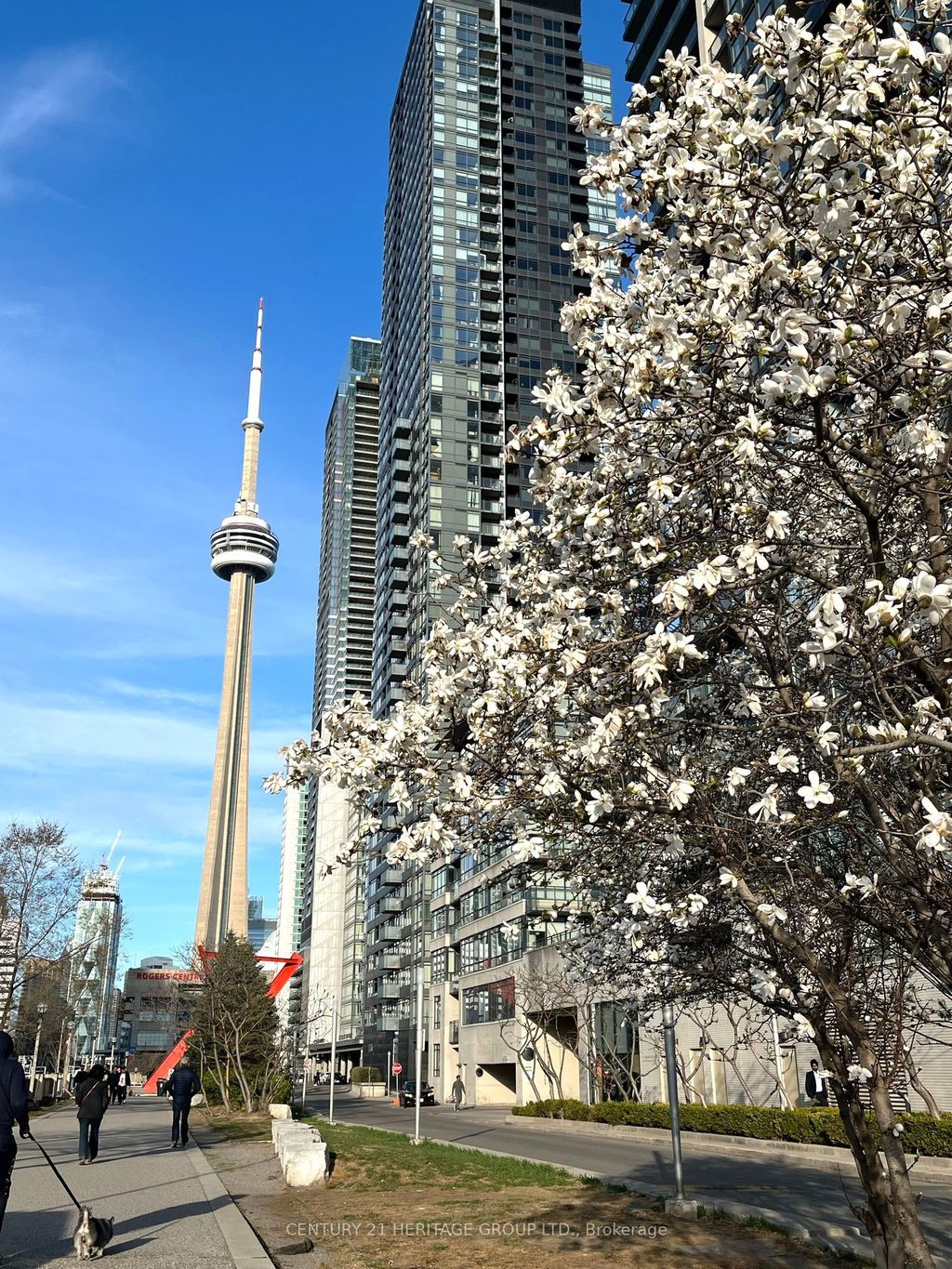 Photo of 15 Iceboat Terrace #2009, Toronto, ON M5V 4A5 (MLS # C12845542)