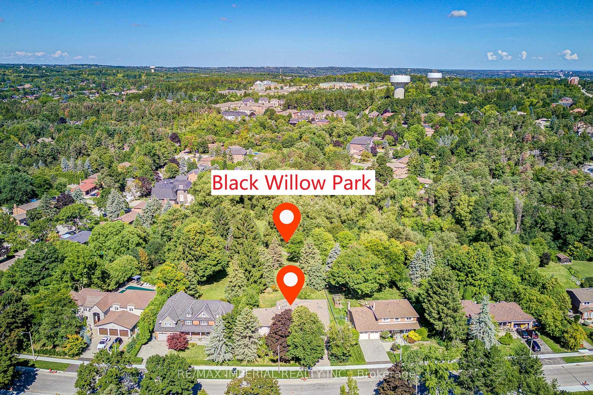 20 Blackforest Drive