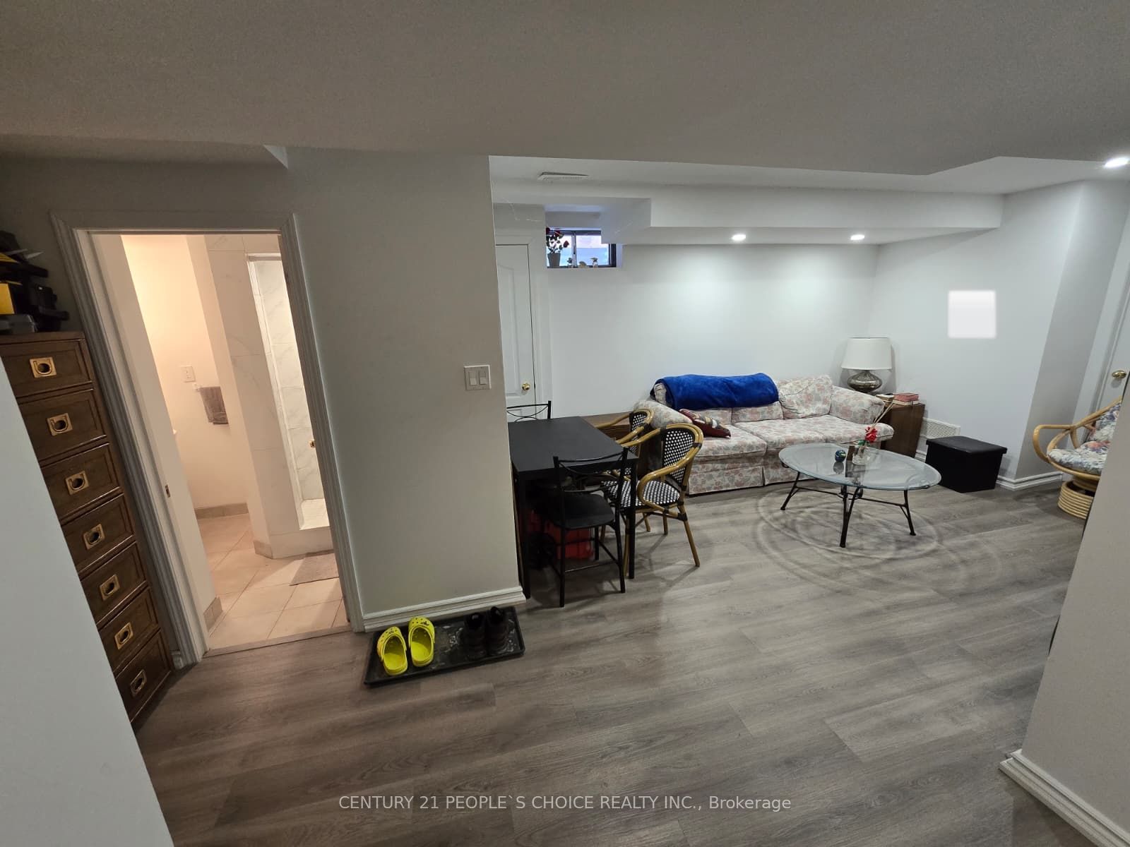 4842 Rosebush Road Basement