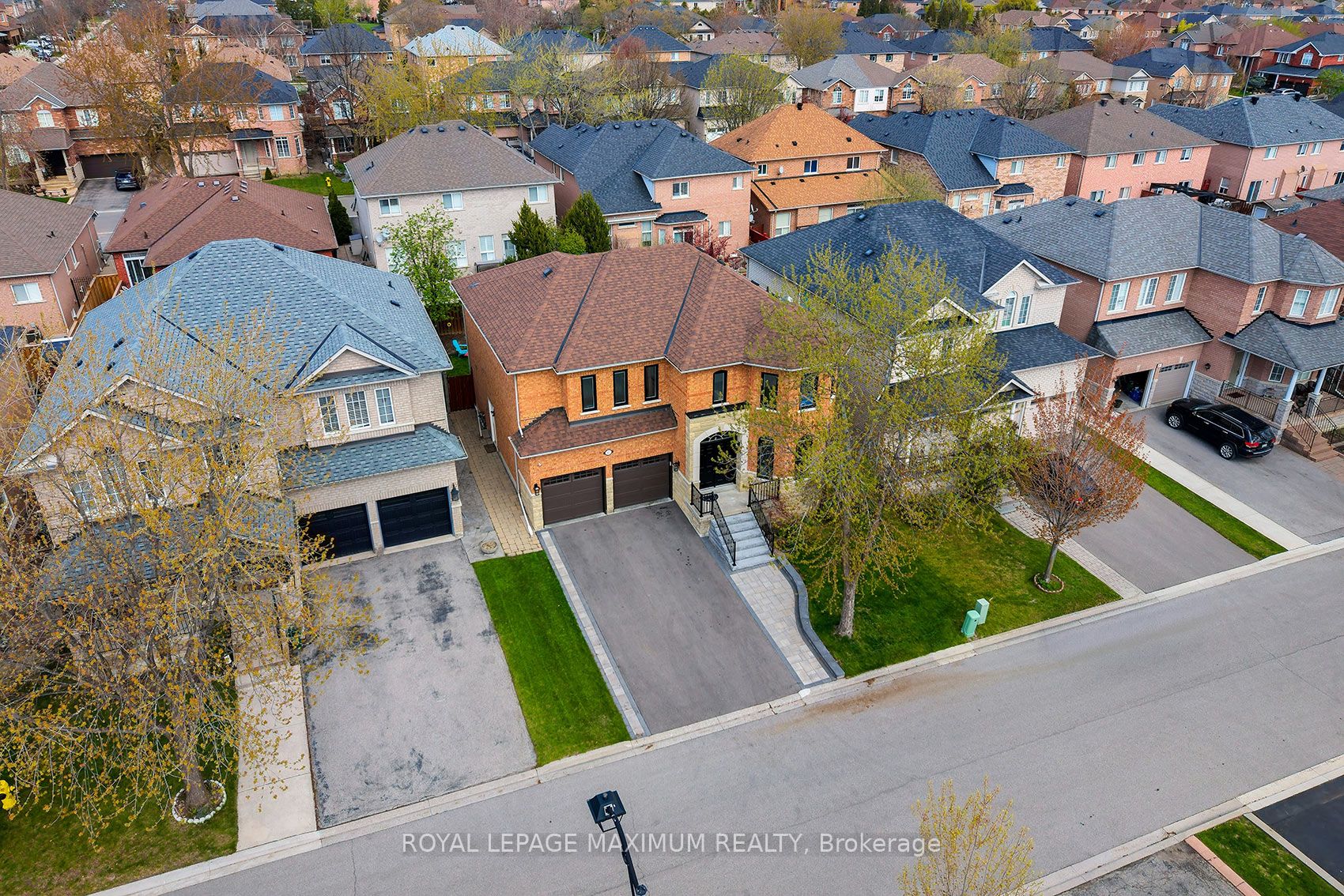 41 Tavio Way