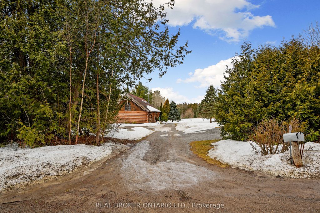 Photo of 481 Oak Hill Road, Port Hope, ON L0A 1B0 (MLS # X12871608)