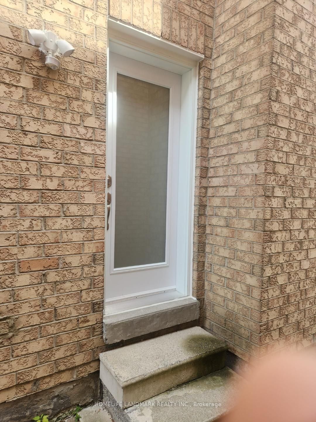 282 Forest Run Boulevard Basement