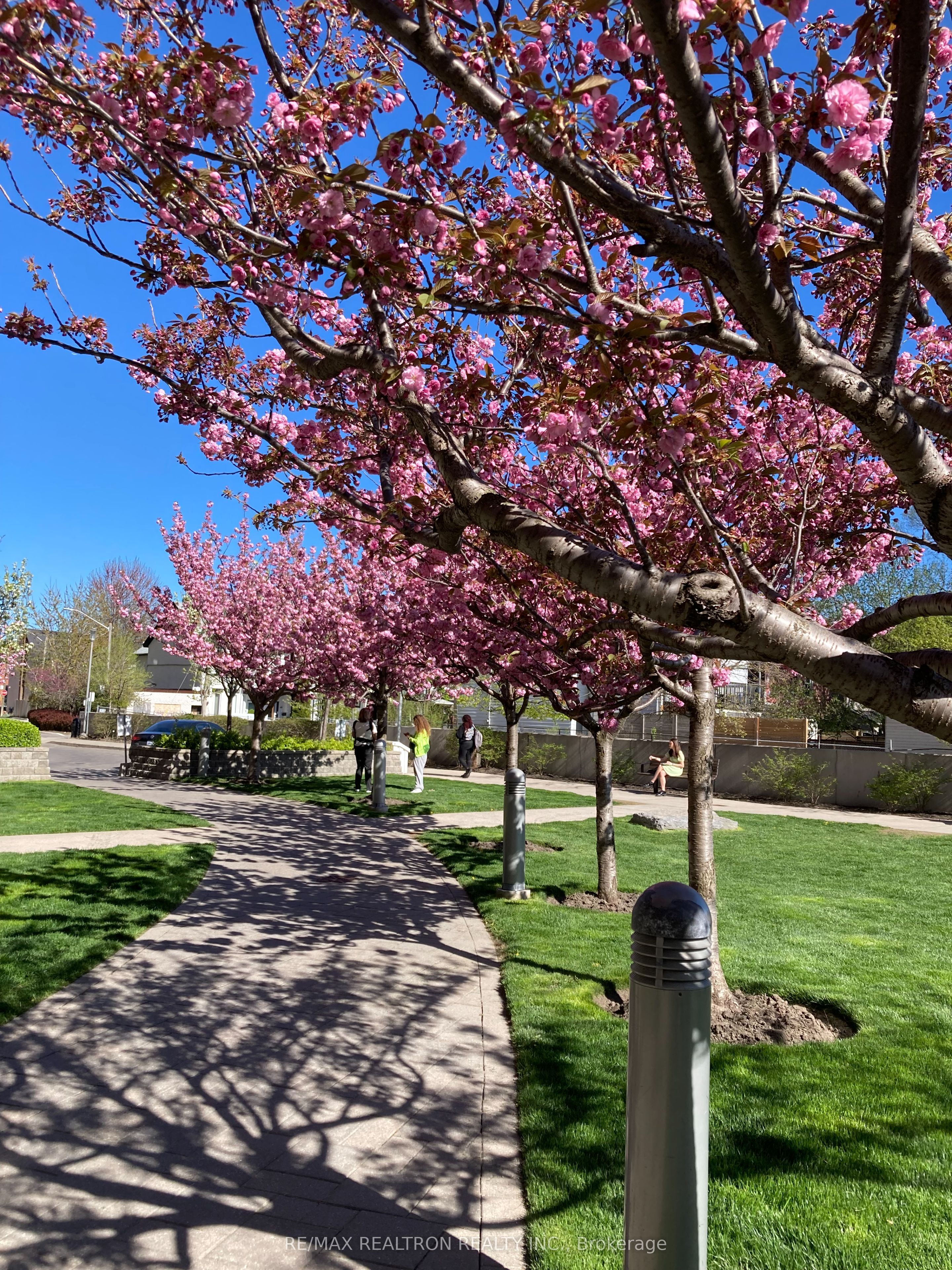 60 Heintzman Street 535