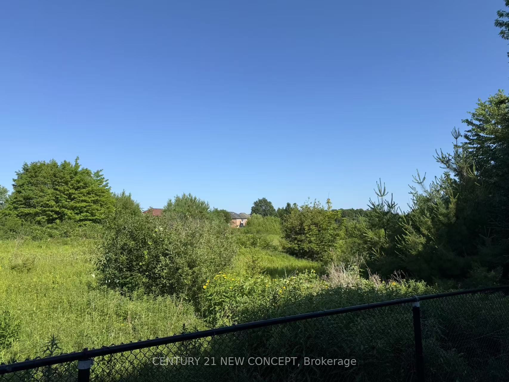 75 Alpaca Drive Lower