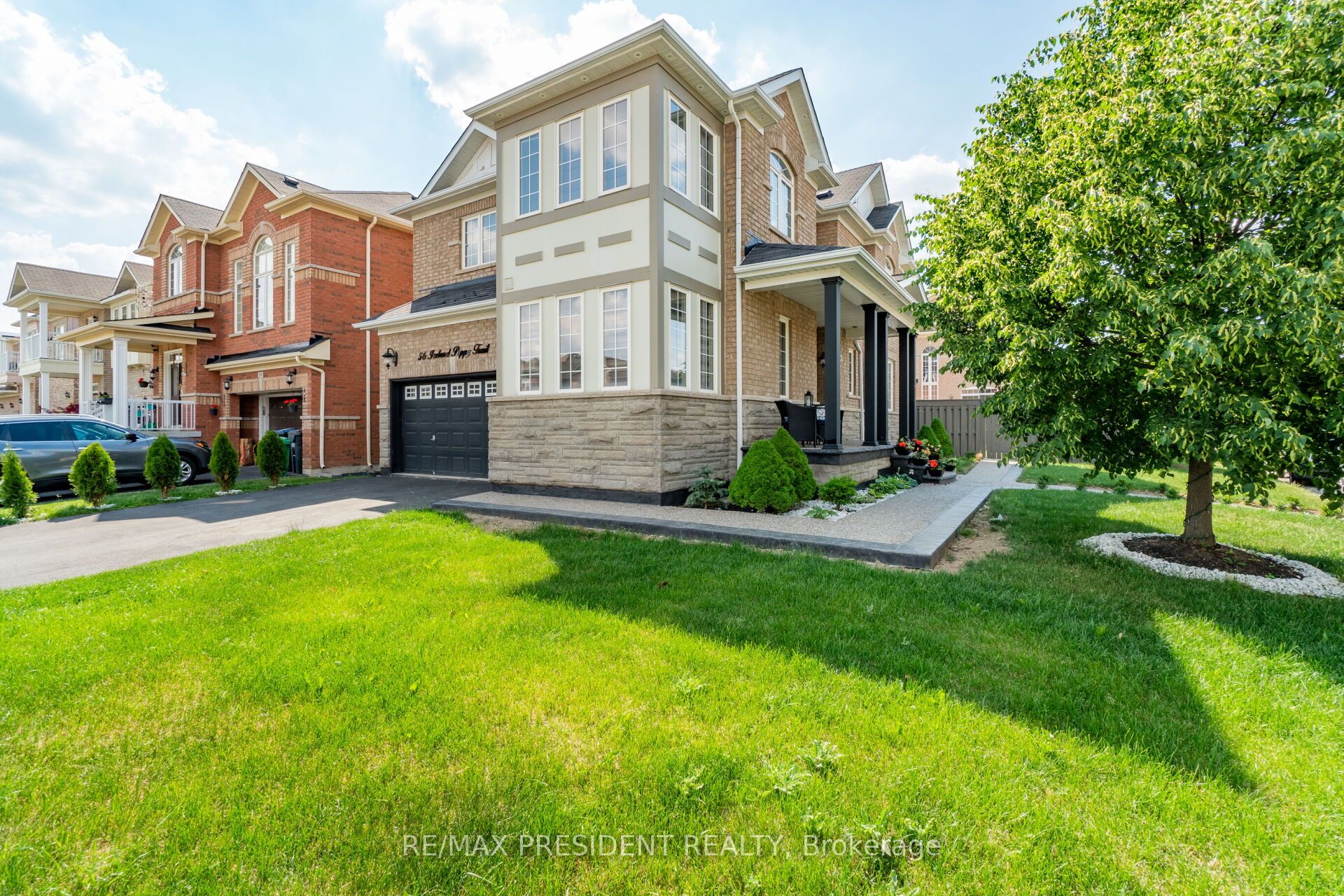 56 Iceland Poppy Trail