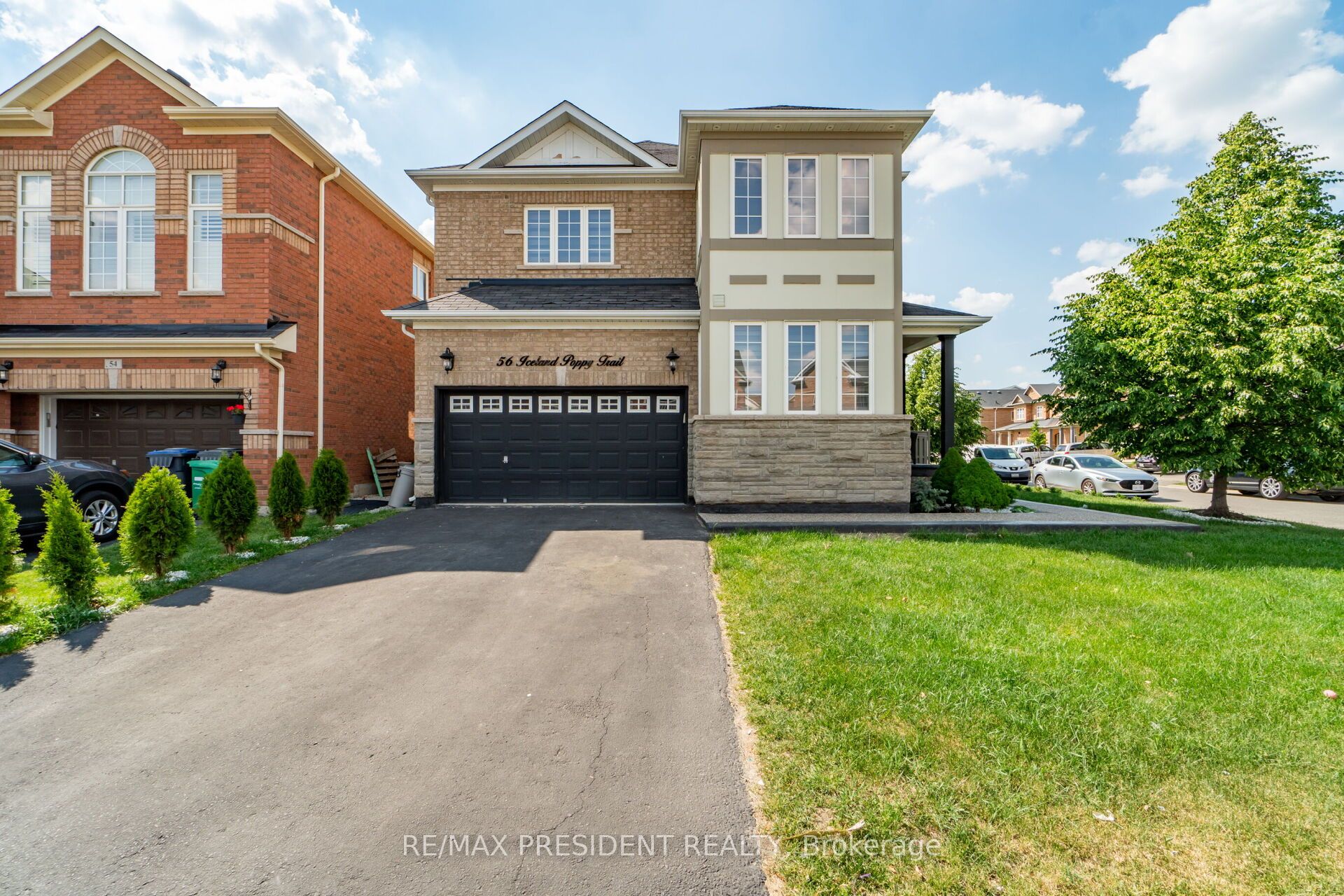 56 Iceland Poppy Trail