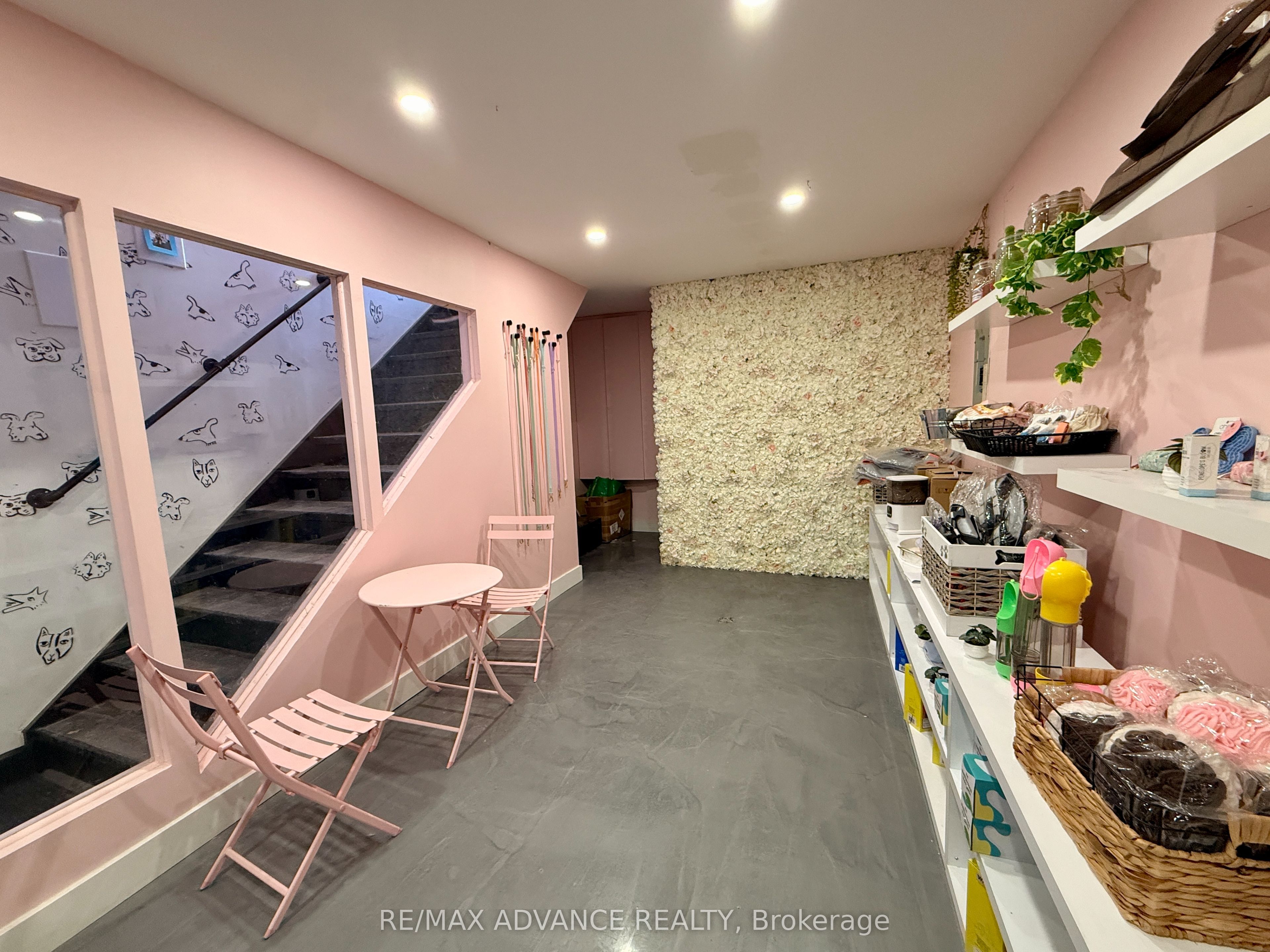 642 Queen Street W Bsmt