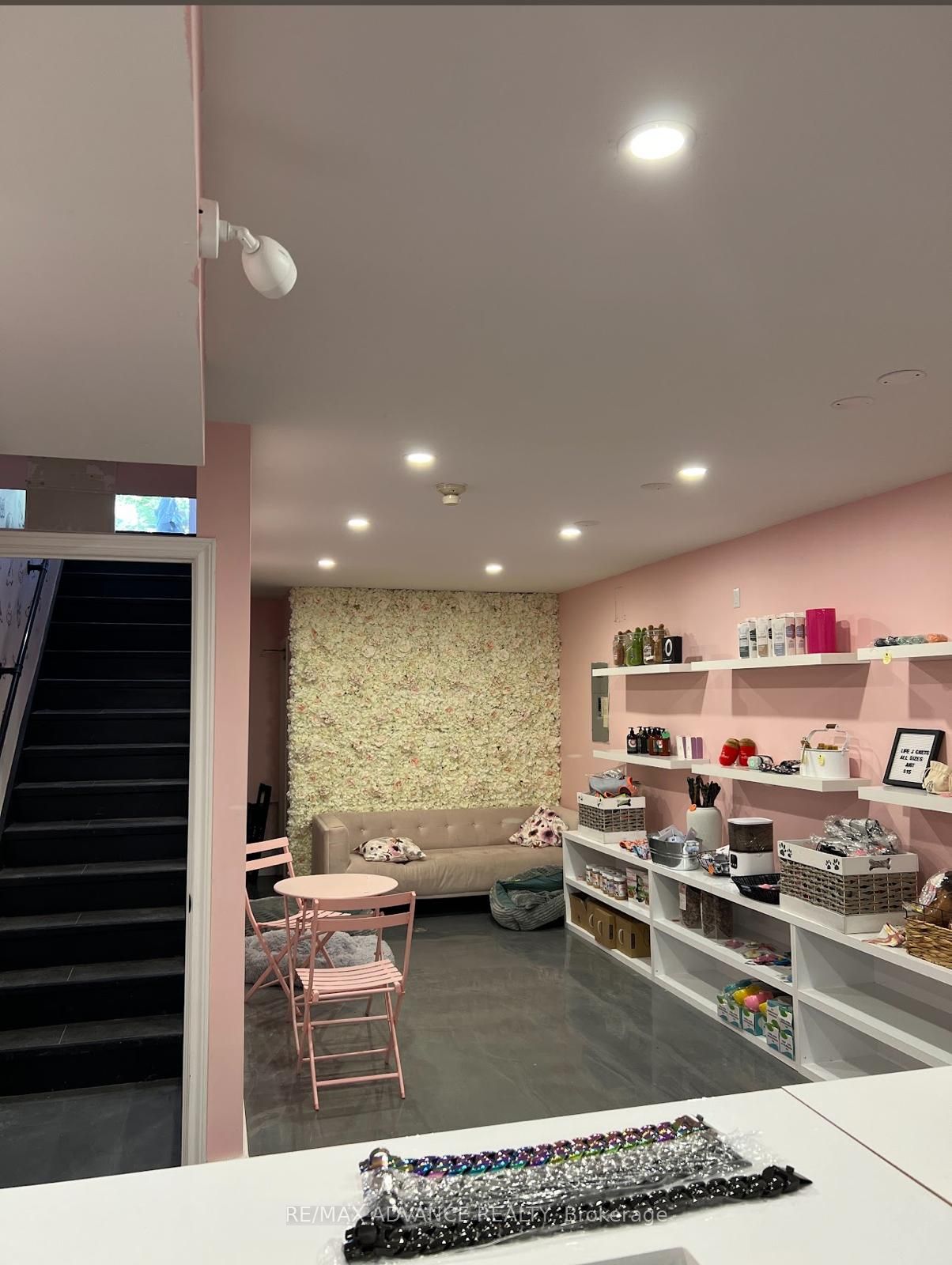 642 Queen Street W Bsmt