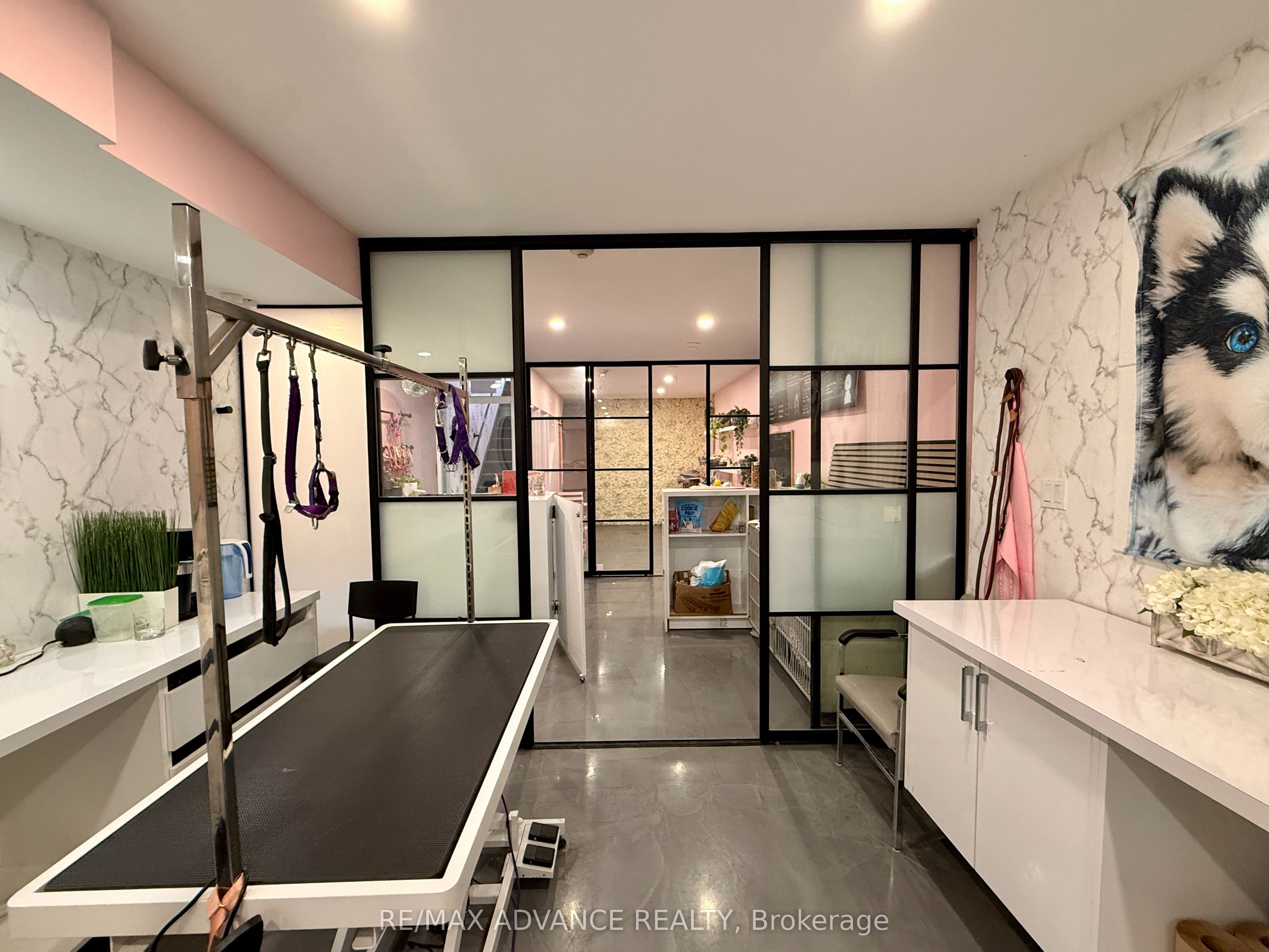 642 Queen Street W Bsmt