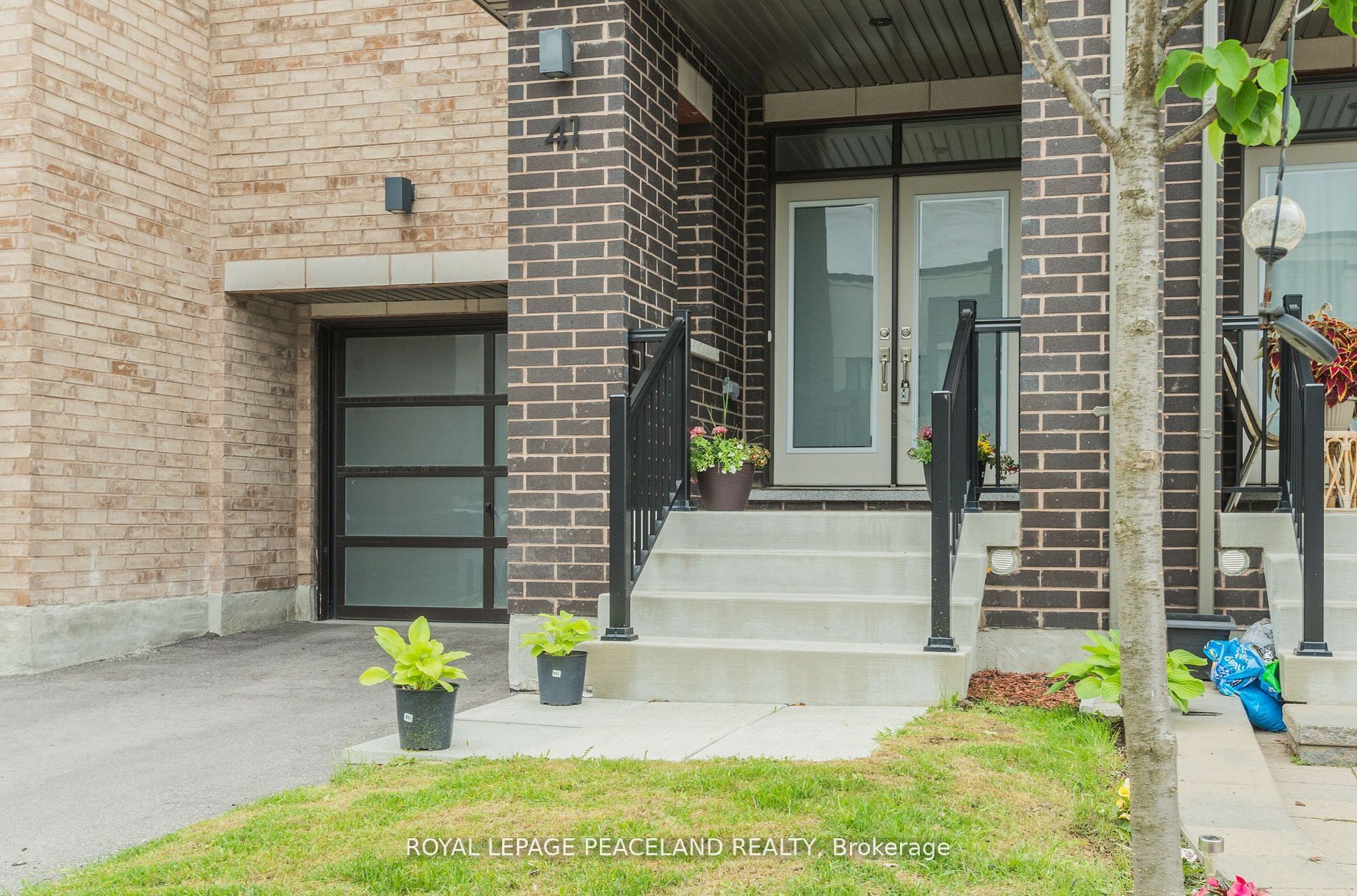 41 Dariole Drive