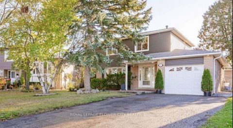 12 Gondola Crescent Basment Brampton ON L6S 1W6
