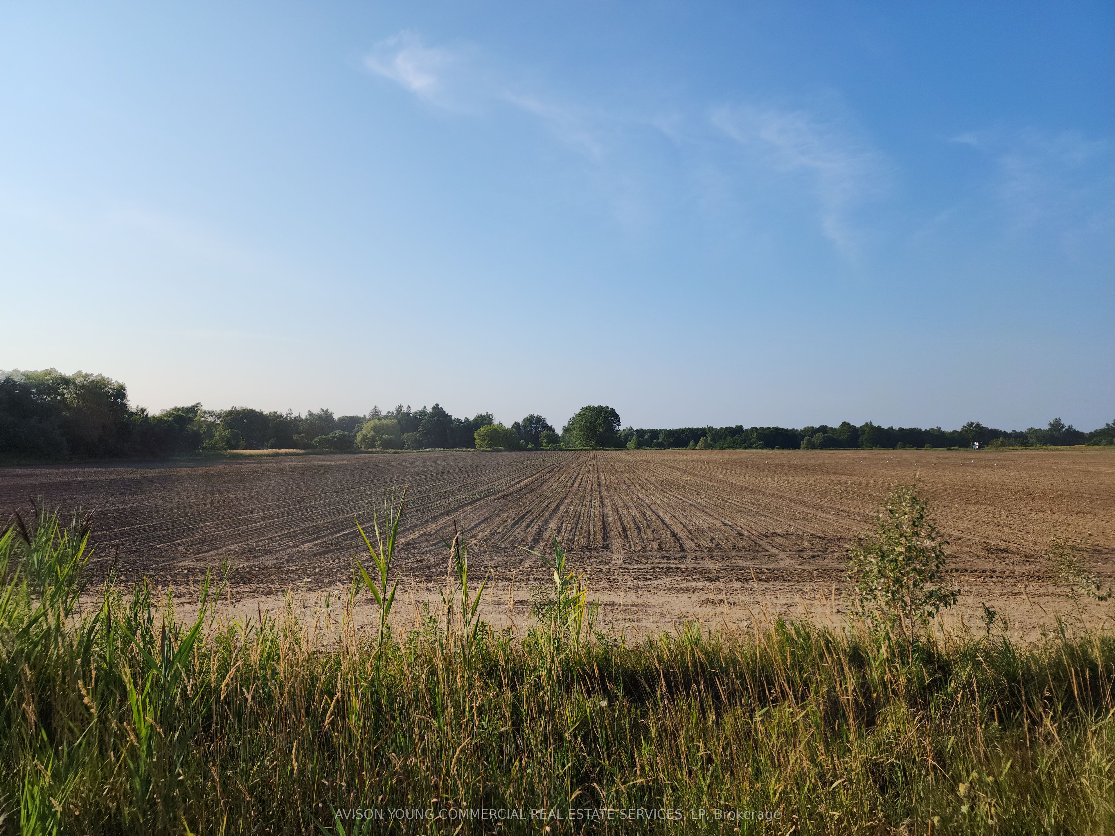 3948 Regional Road 2