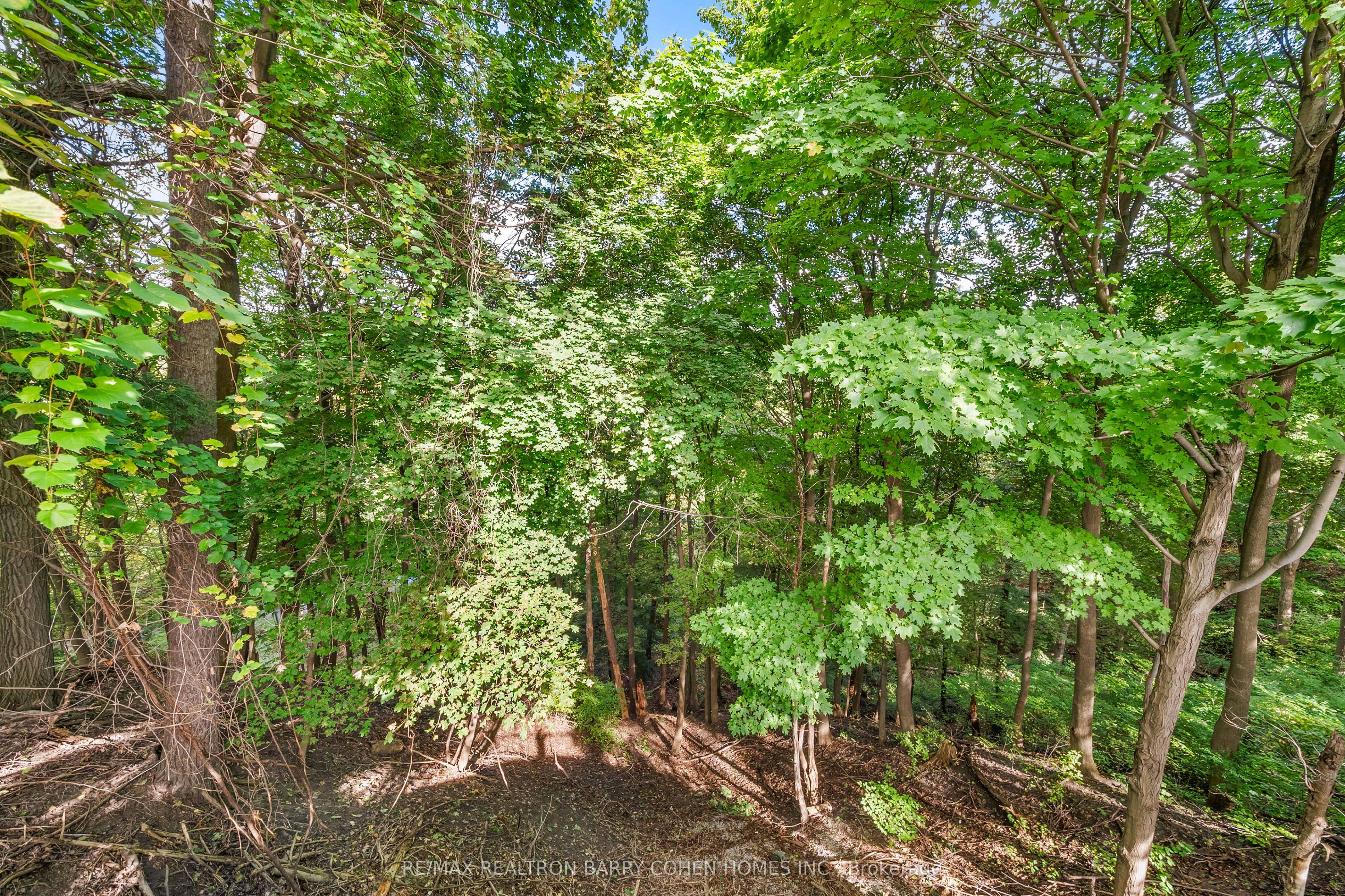 336+340 Riverview Drive - Lots