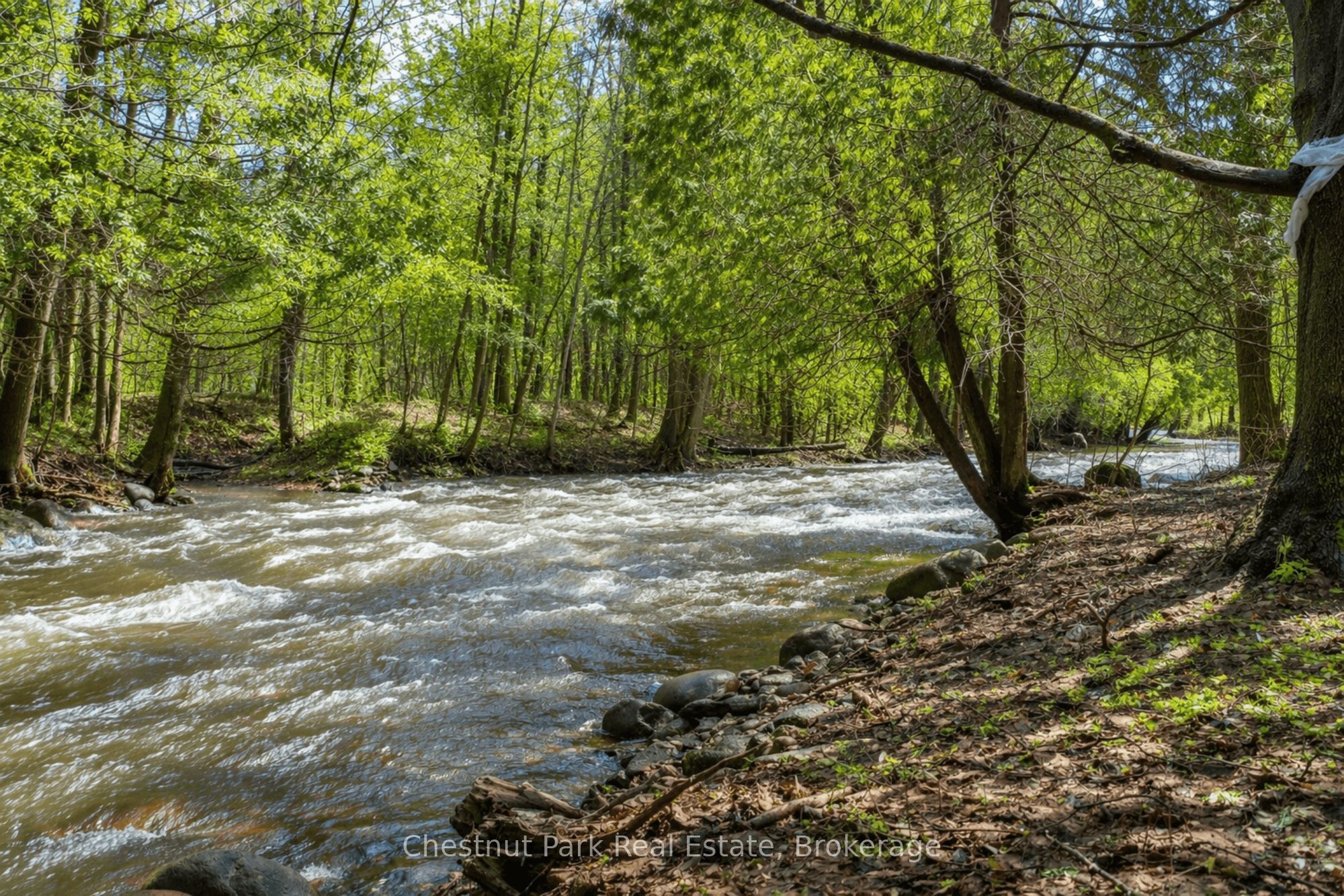 8943 County Road 9 N/A