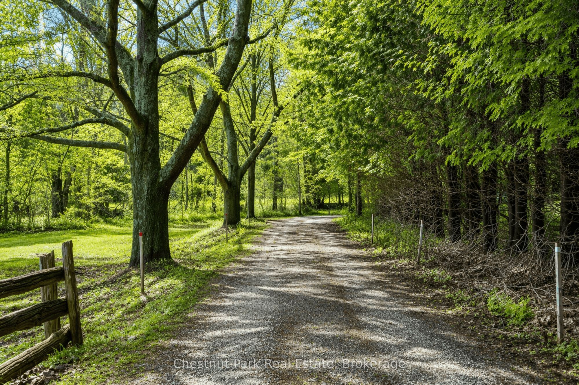 8943 County Road 9 N/A