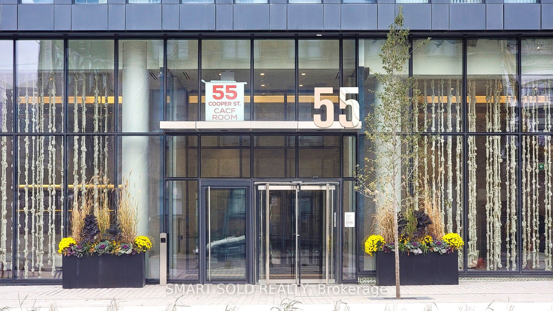 55 Cooper Street 5802