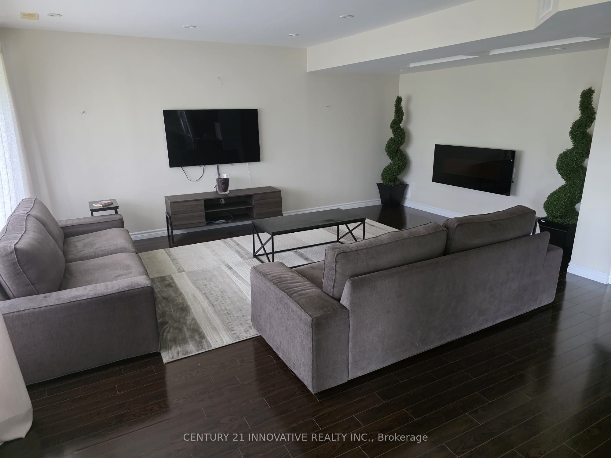 118 Santa Amato Crescent Basement