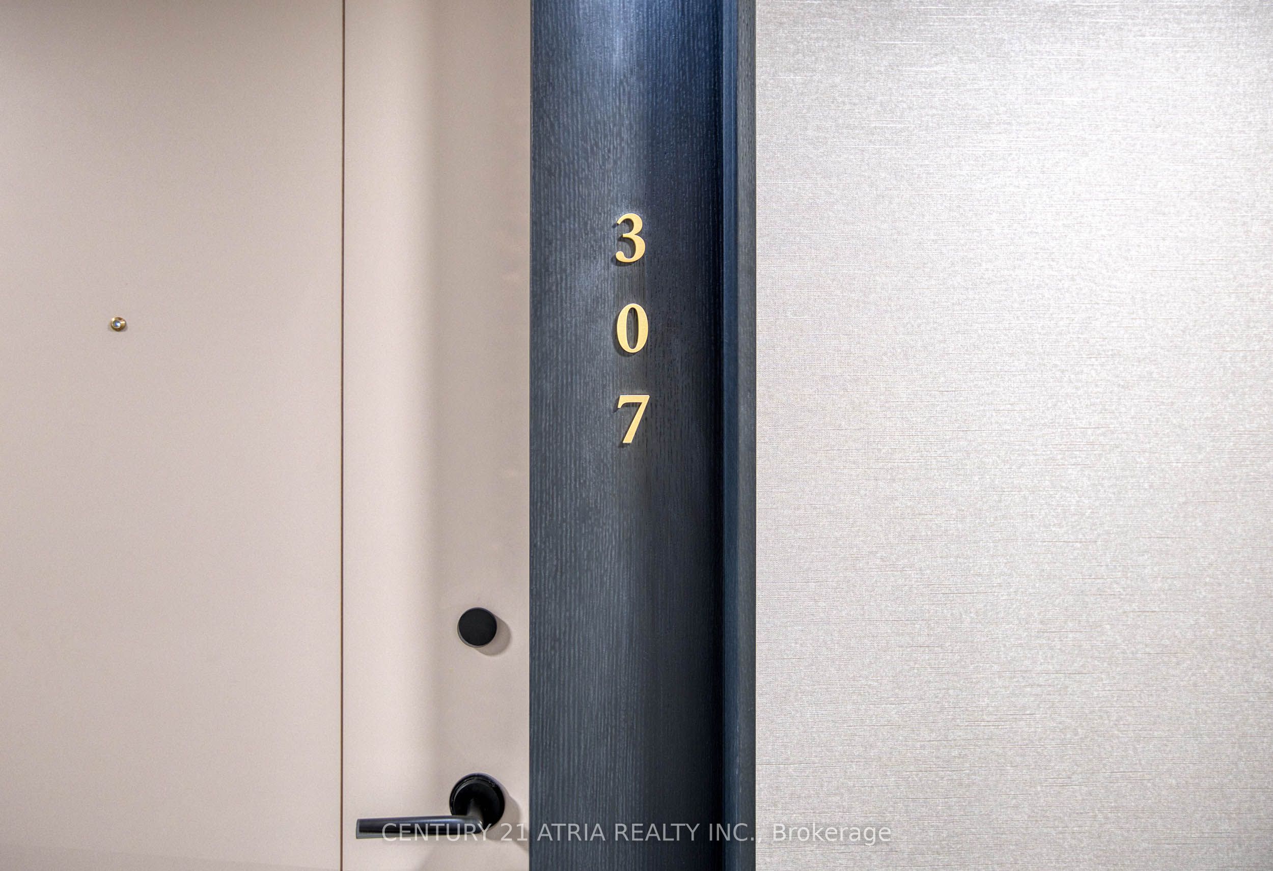 858 Dupont Street 307