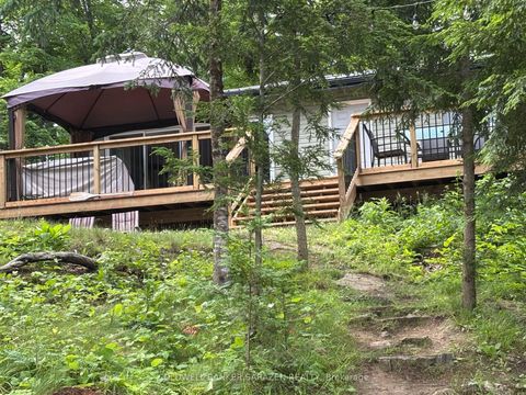 Photo of 117 Raycroft Peninsula Point, Lanark Highlands, ON K0A 3L0 (MLS # X12459069)