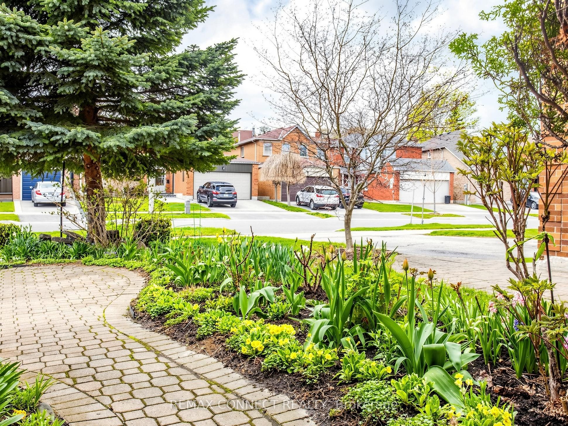 60 Starspray Boulevard