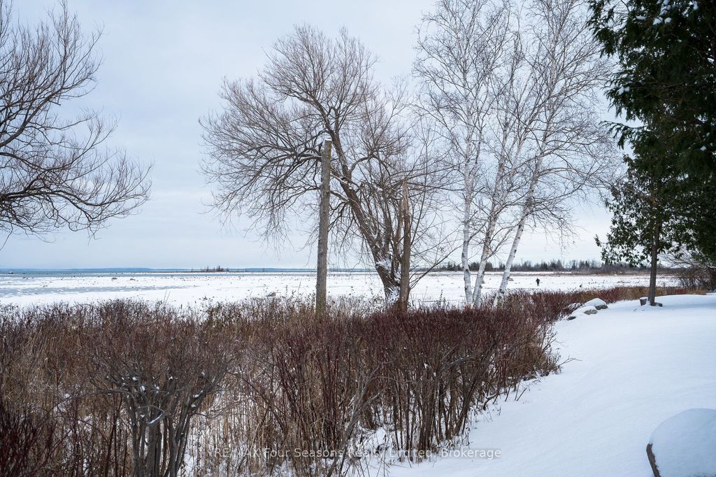 Photo of 44 Trott Boulevard #24, Collingwood, ON L9Y 5B7 (MLS # S12595830)