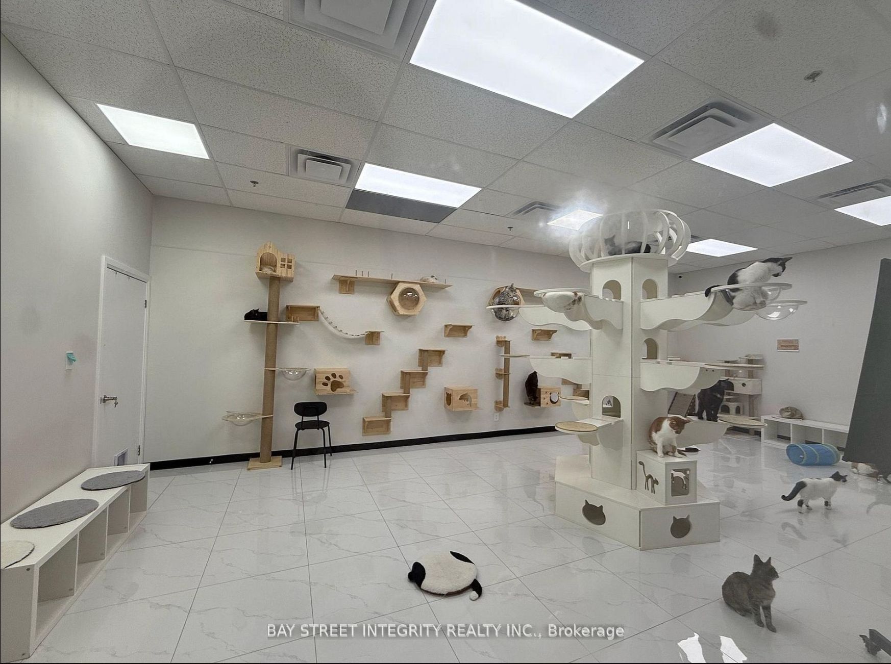 327 - 333 Queen Street W Ground