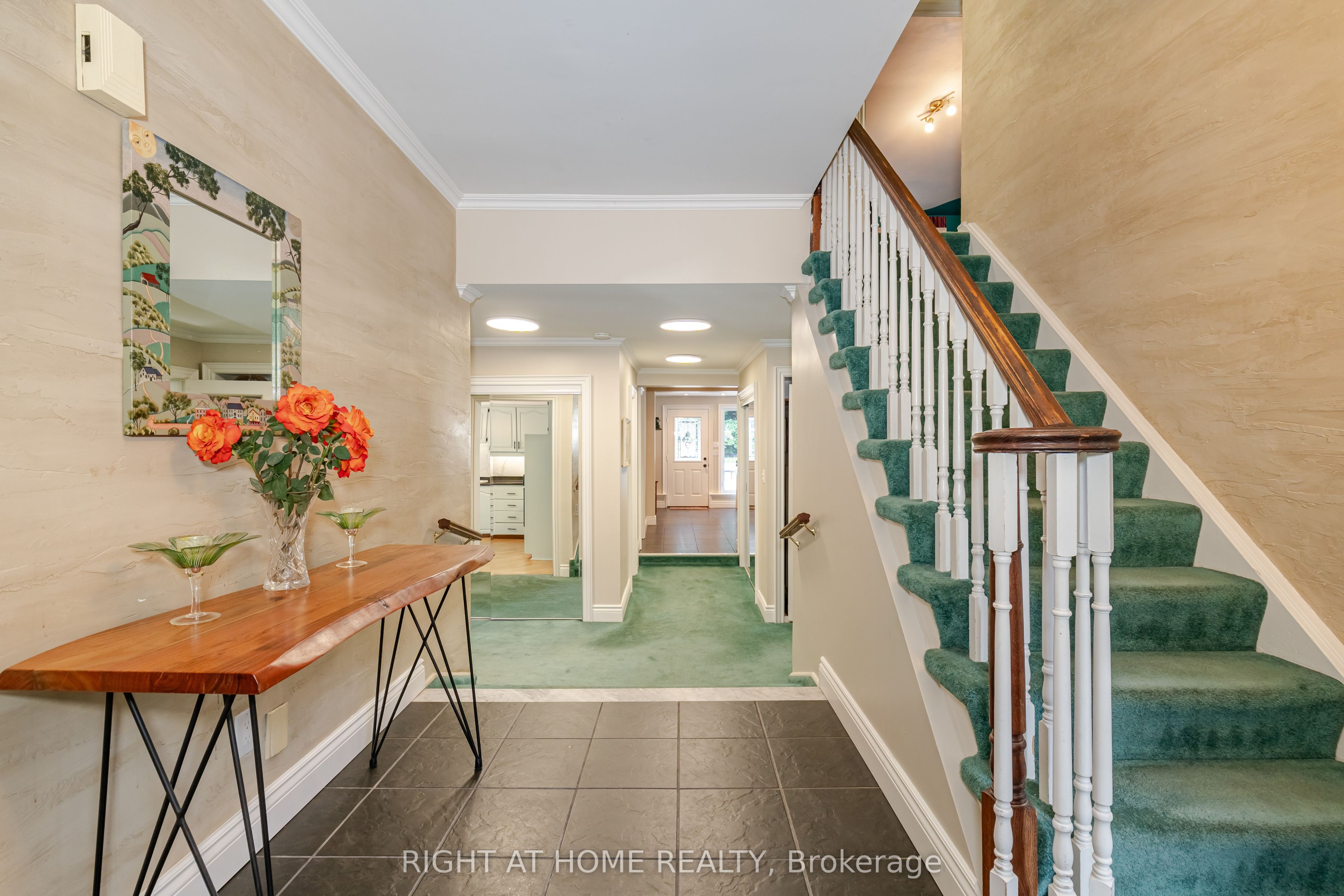 1117 Springhill Drive