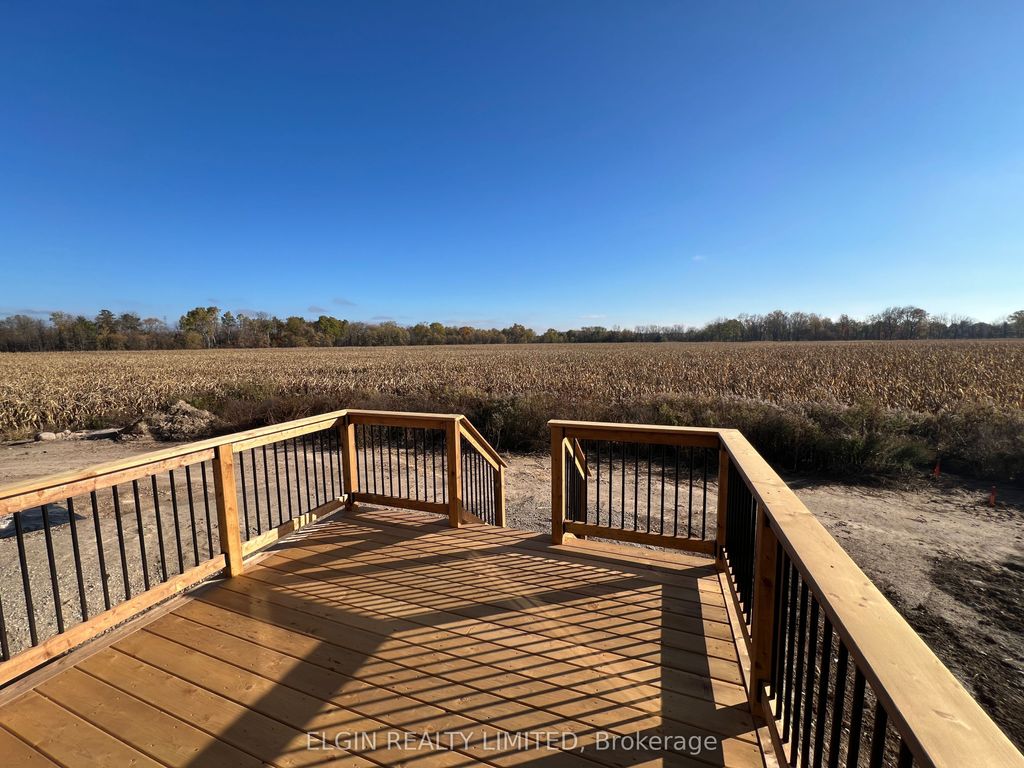 Photo of 75 Braun Avenue, Tillsonburg, ON N4G 0K4 (MLS # X12613084)