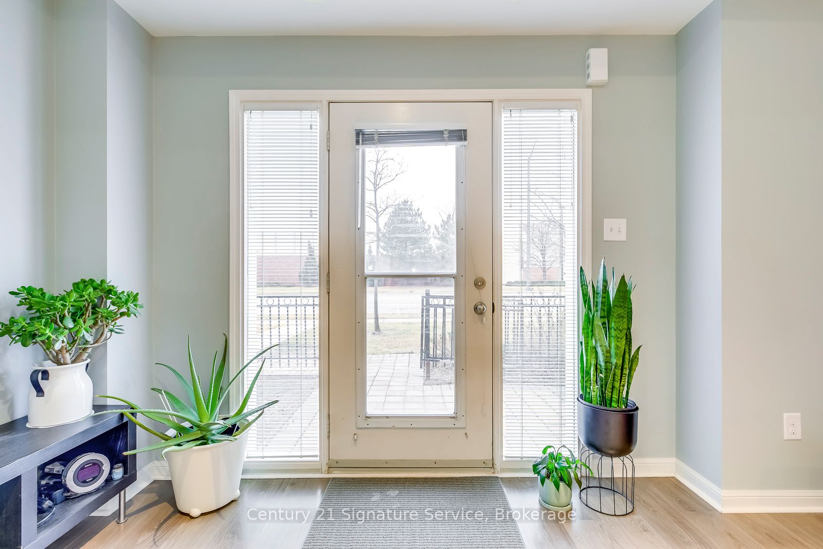 2935 Hazelton Place 5