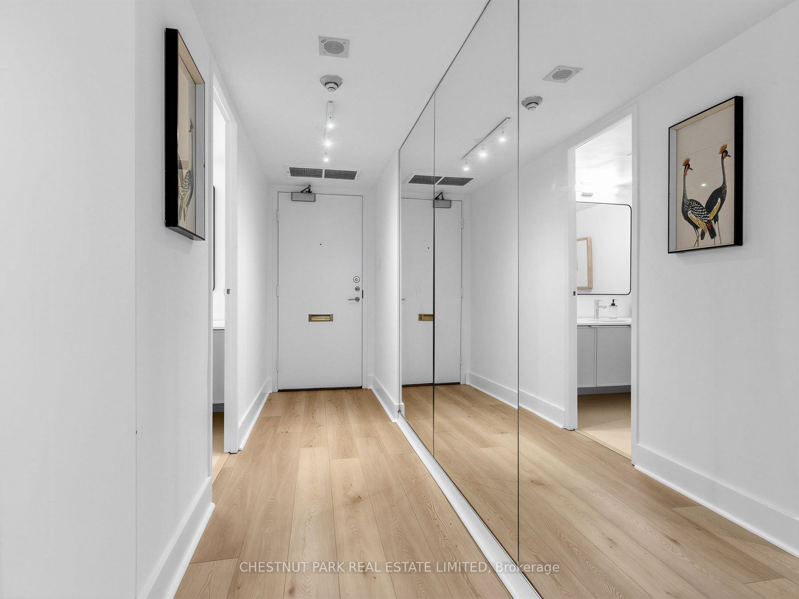 10 Avoca Avenue 401