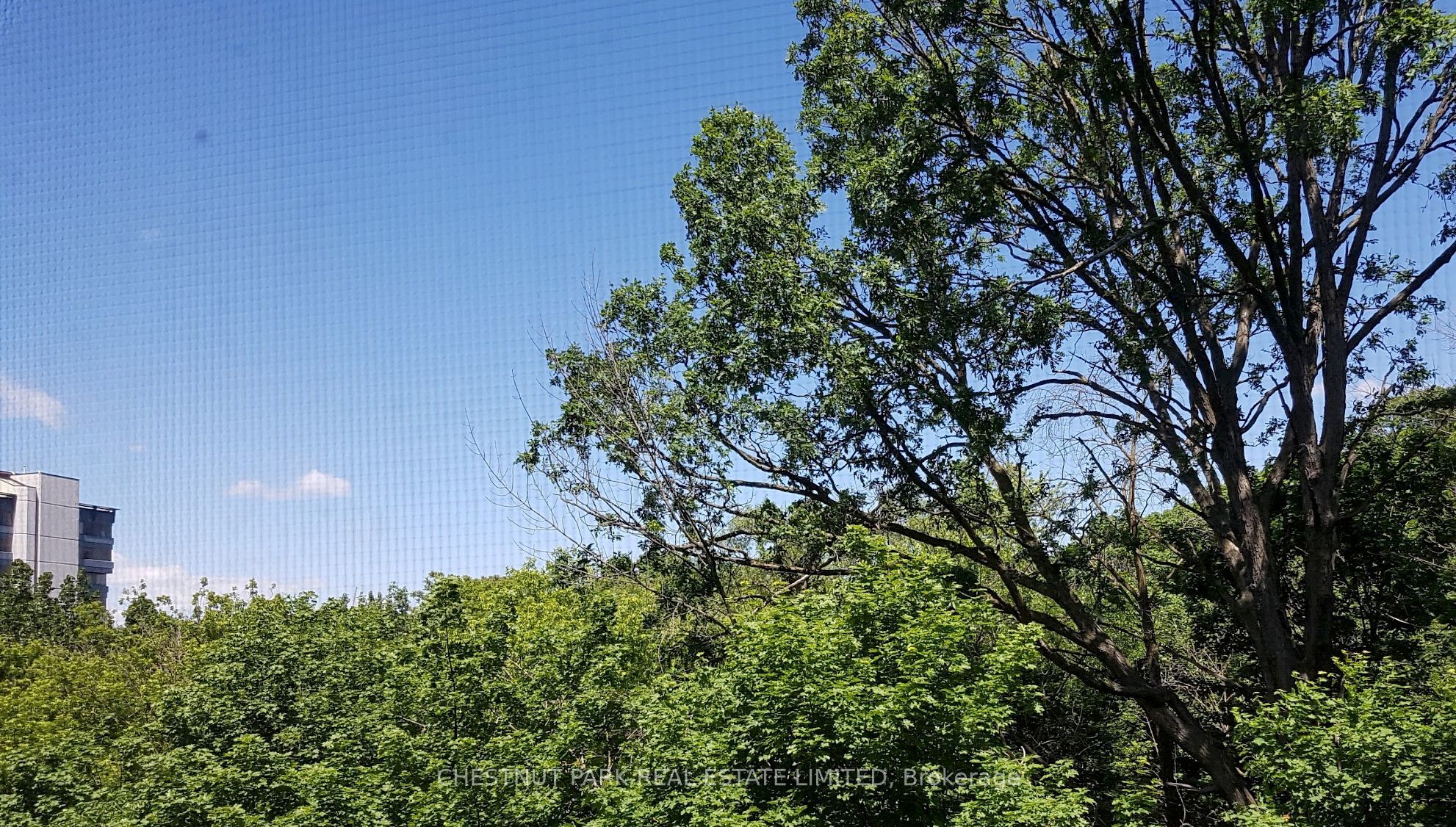 120 Rosedale Valley Road 507