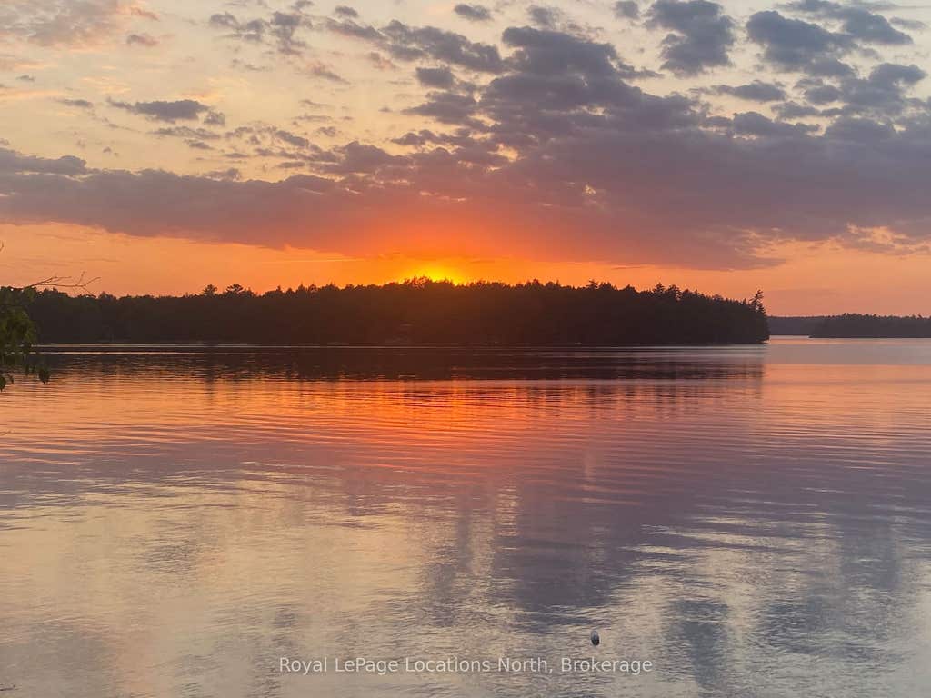 Photo of 1433 South Horn Lk Road, Ryerson, ON P0A 1C0 (MLS # X13412958)