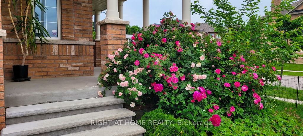 Photo of 75 Hartwell Road, Halton Hills, ON L7G 0H8 (MLS # W12988880)