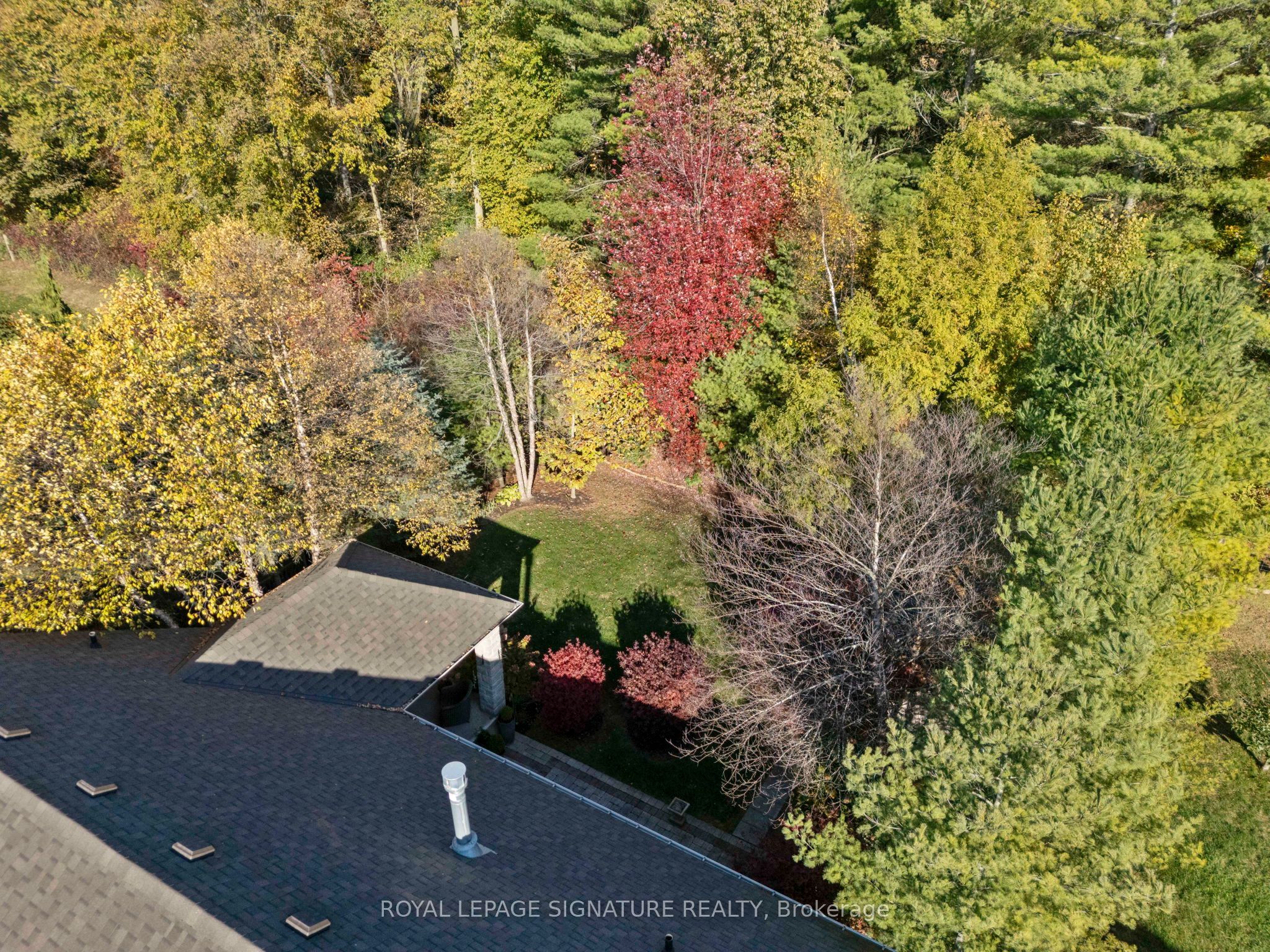 64 Newport Lane